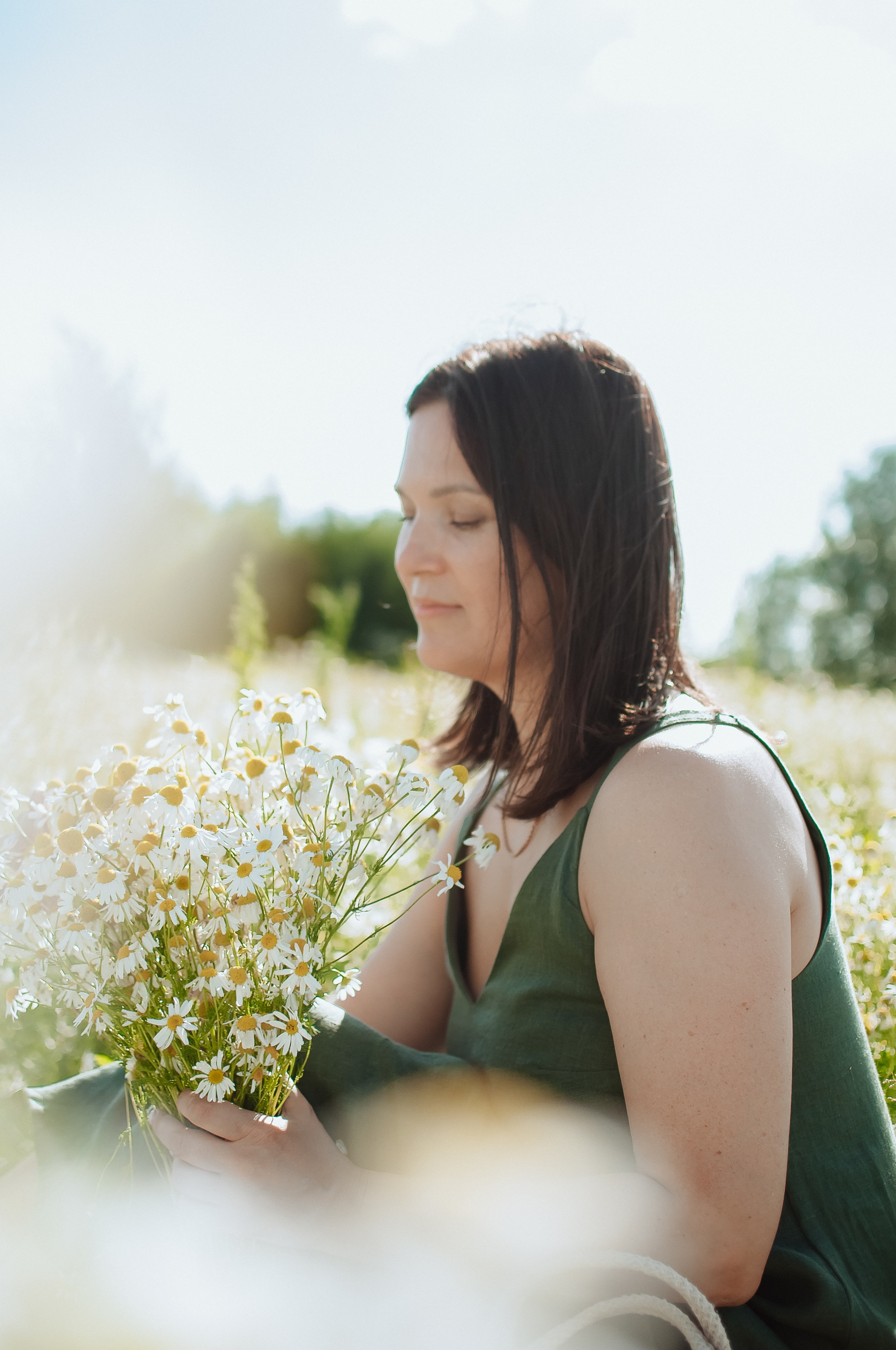 Привет ромашки