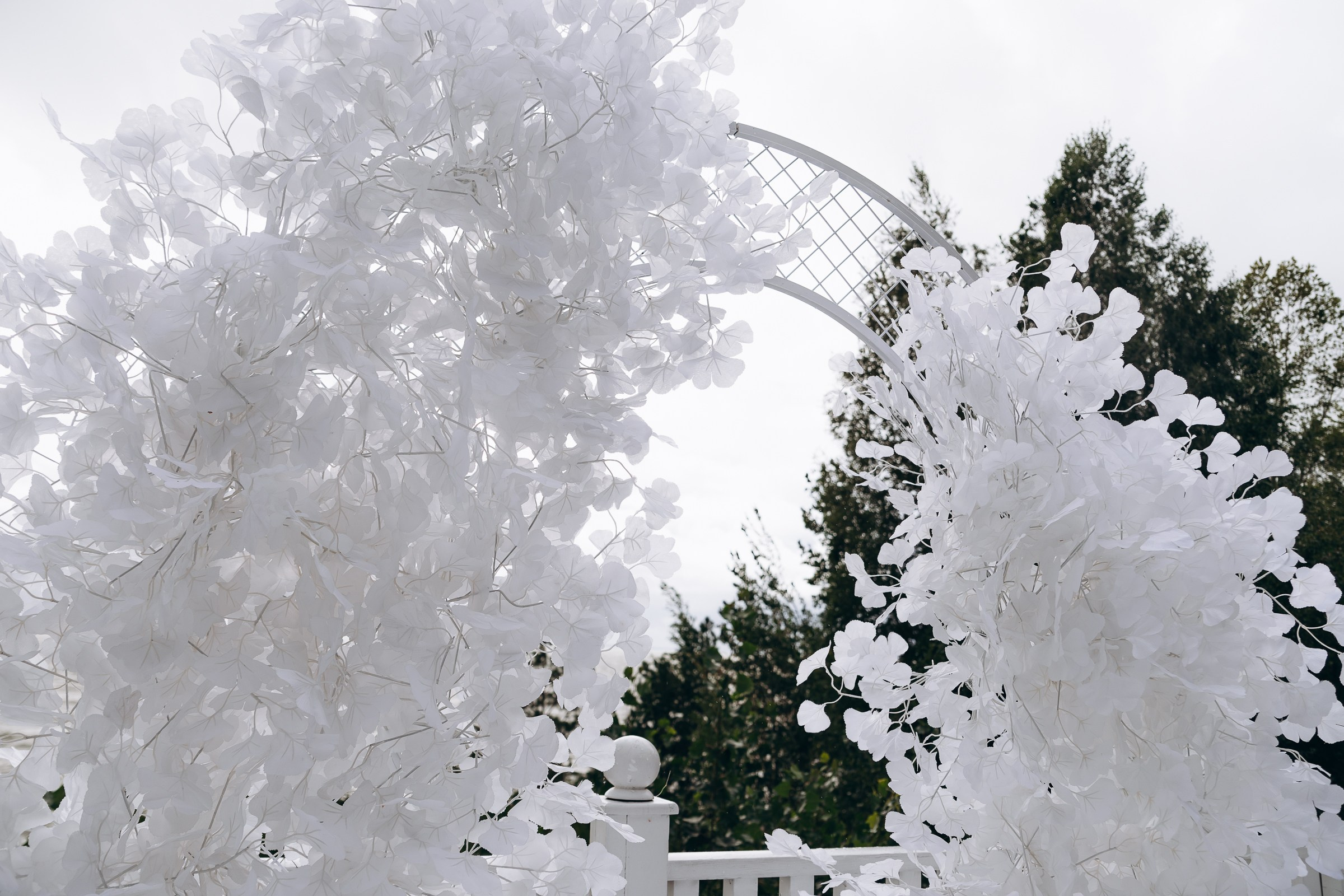 26.08.2024 Иван & Полина. Свадебный и семейный фотограф в Новосибирске Дарья Кель