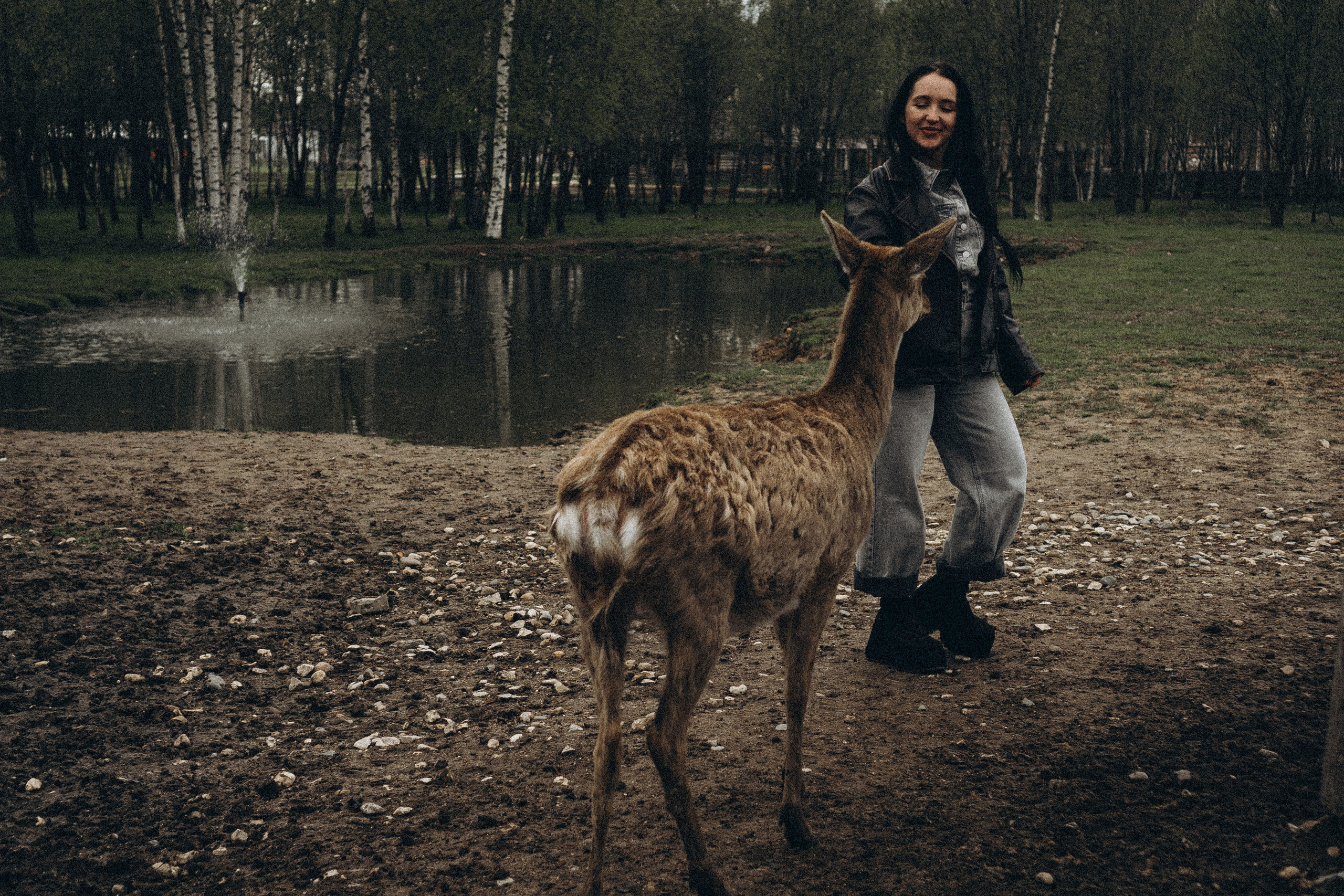 ОЛЕНЬЯ ФЕРМА В ТВЕРИ. Профессиональный фотограф, Санкт-Петербург — Виктория Богомолова