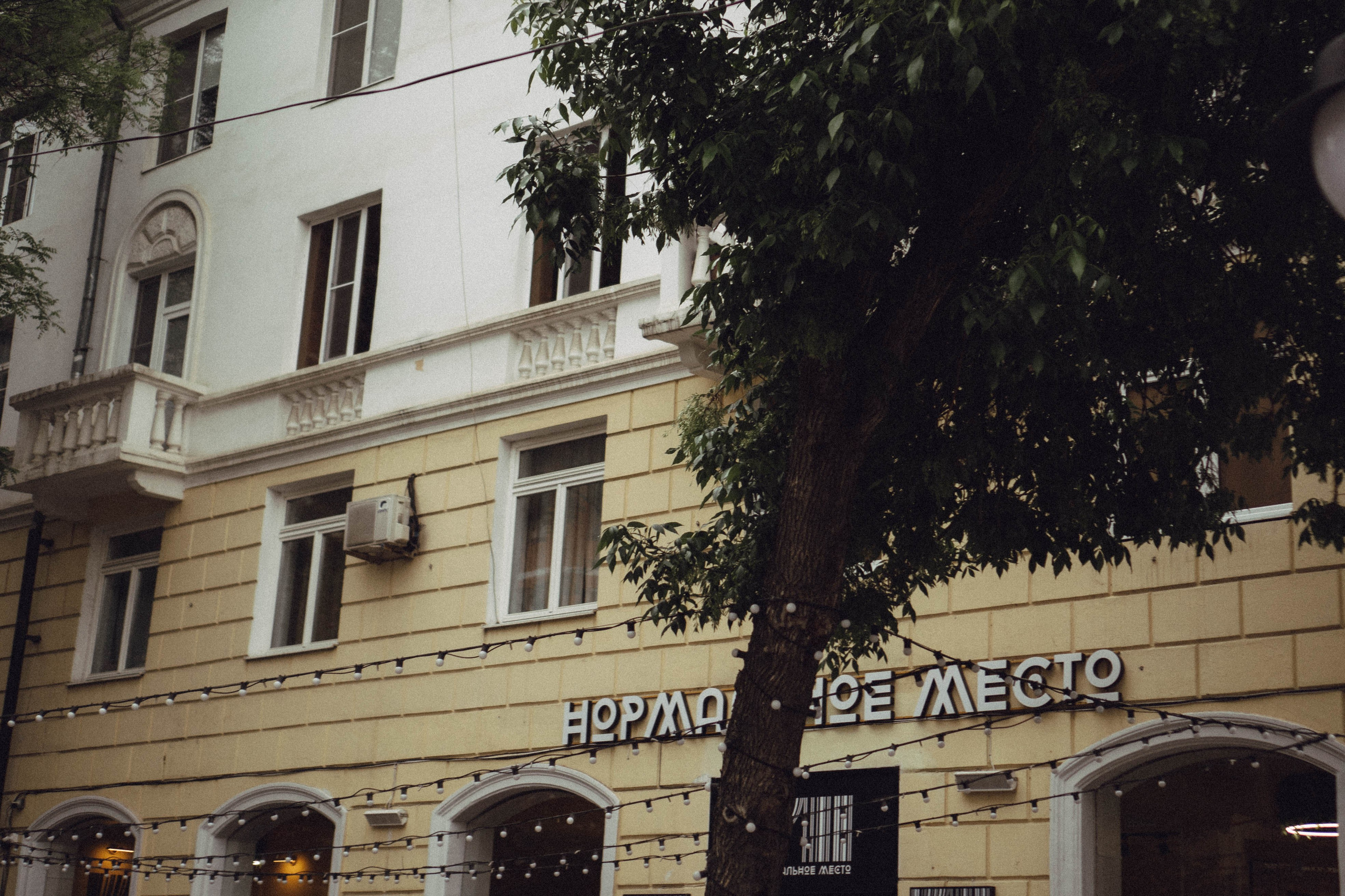 Кавказ. Профессиональный фотограф, Санкт-Петербург — Виктория Богомолова