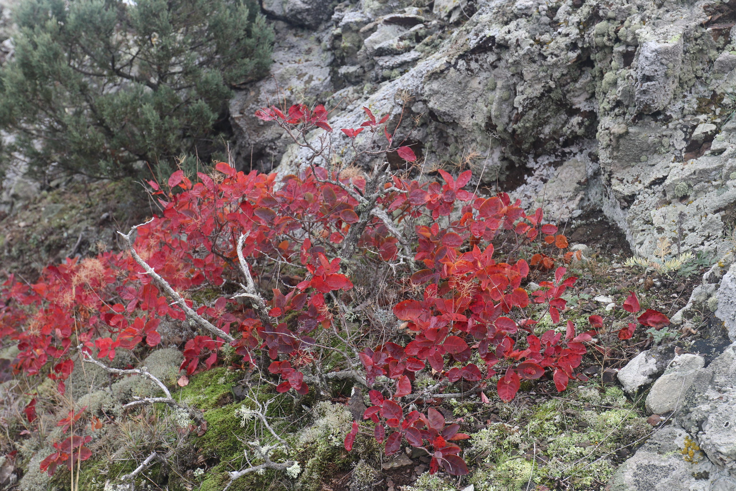 Крым. ЮБК (Судак, Карадаг). Ноябрь 2020. Путешественник-фотограф из Санкт-Петербурга Татьяна Свистулина
