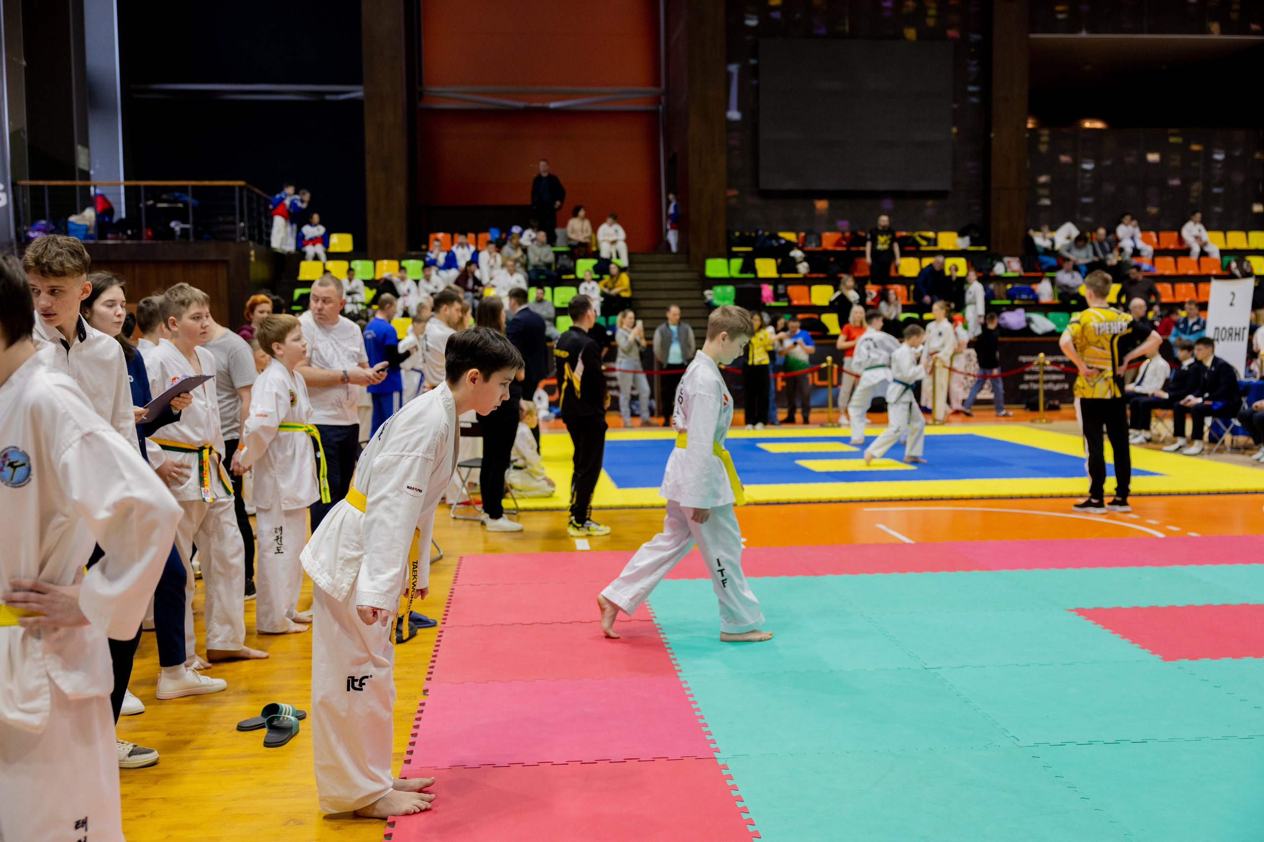 Тхэквондо. Питерский фотограф