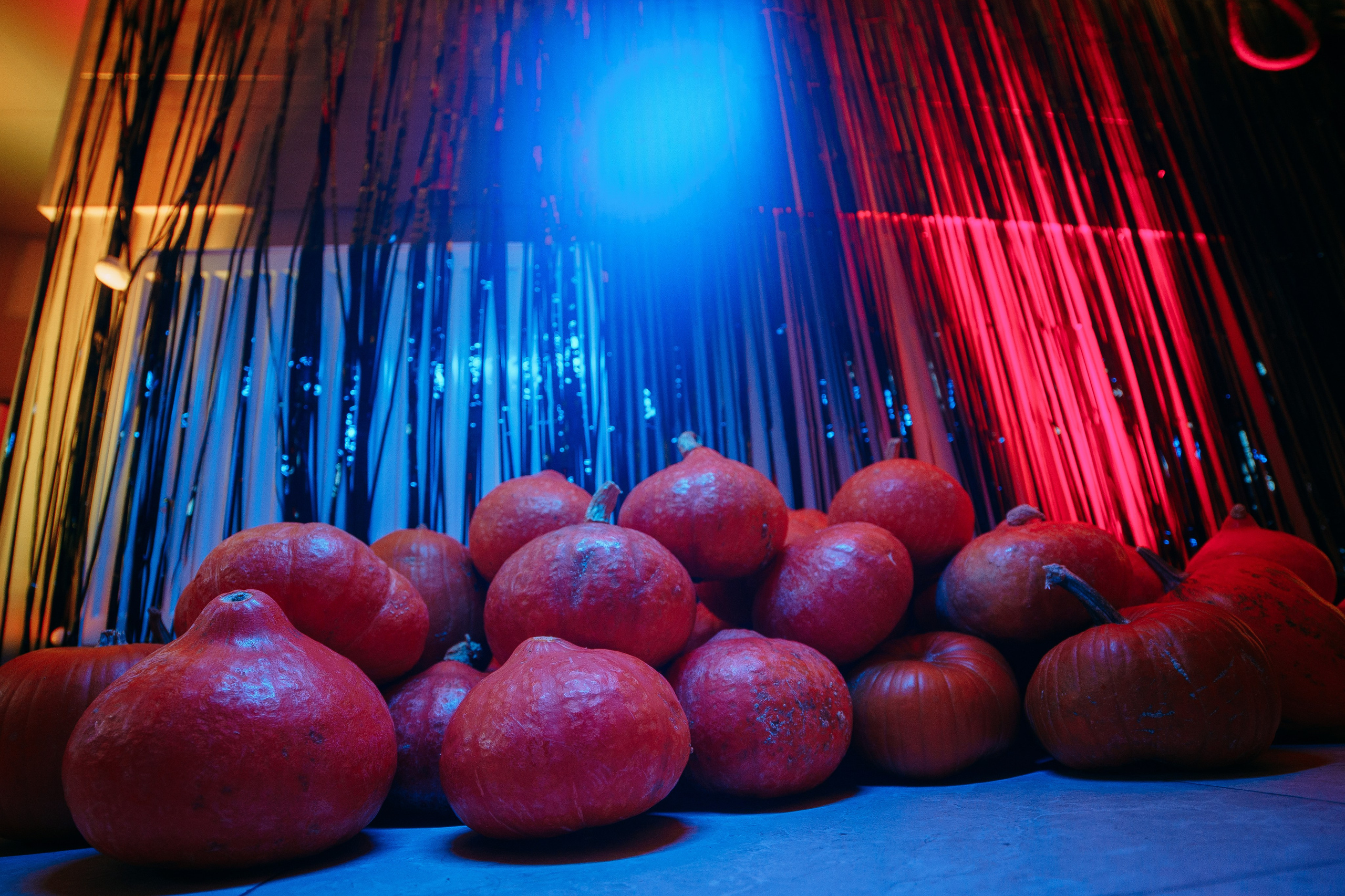 Мероприятия. Фотограф и Видеограф Илья Копытов