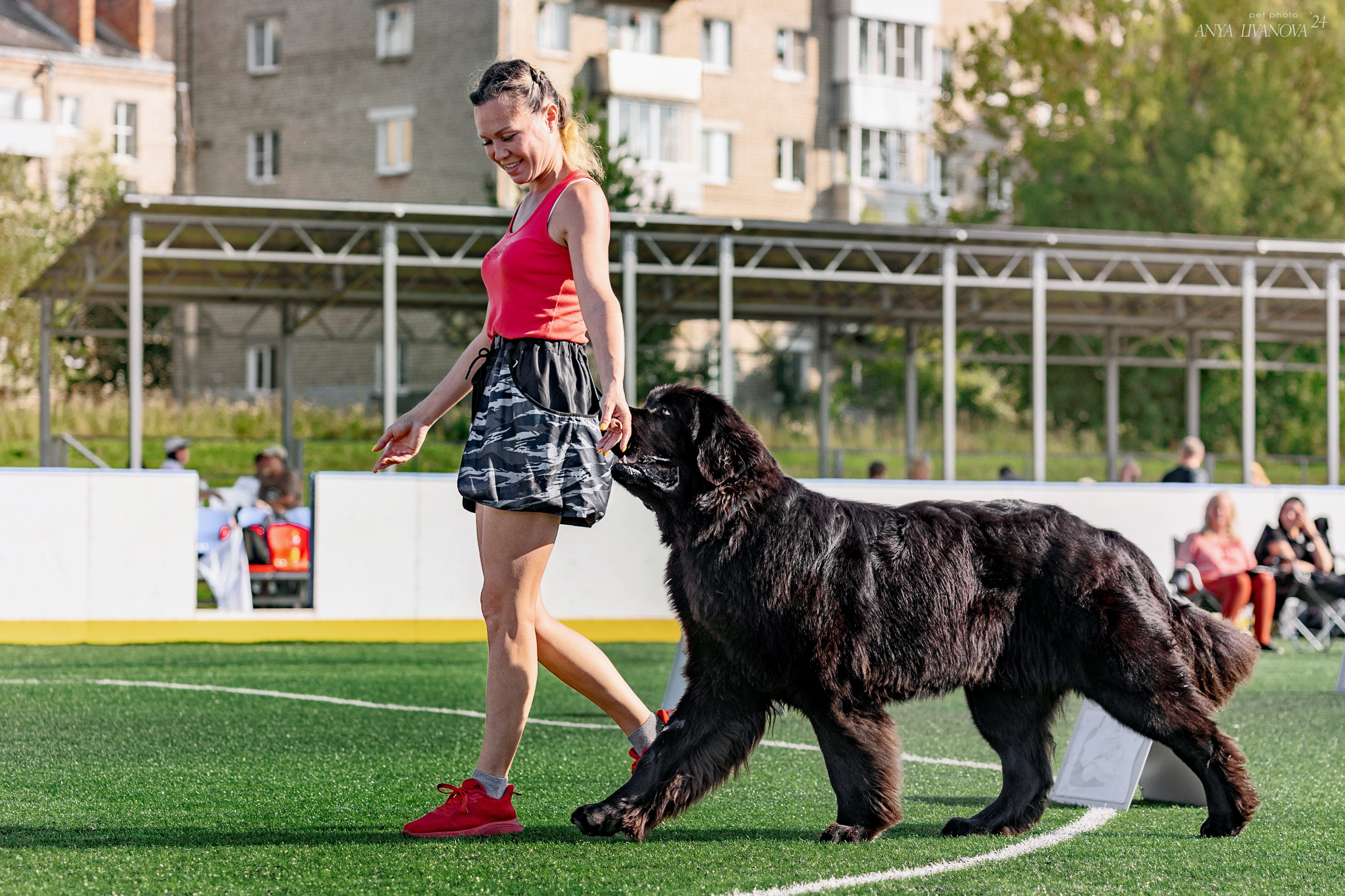 Ралли обидиенс. Фотограф анималист Аня Ливанова | Рыбинск