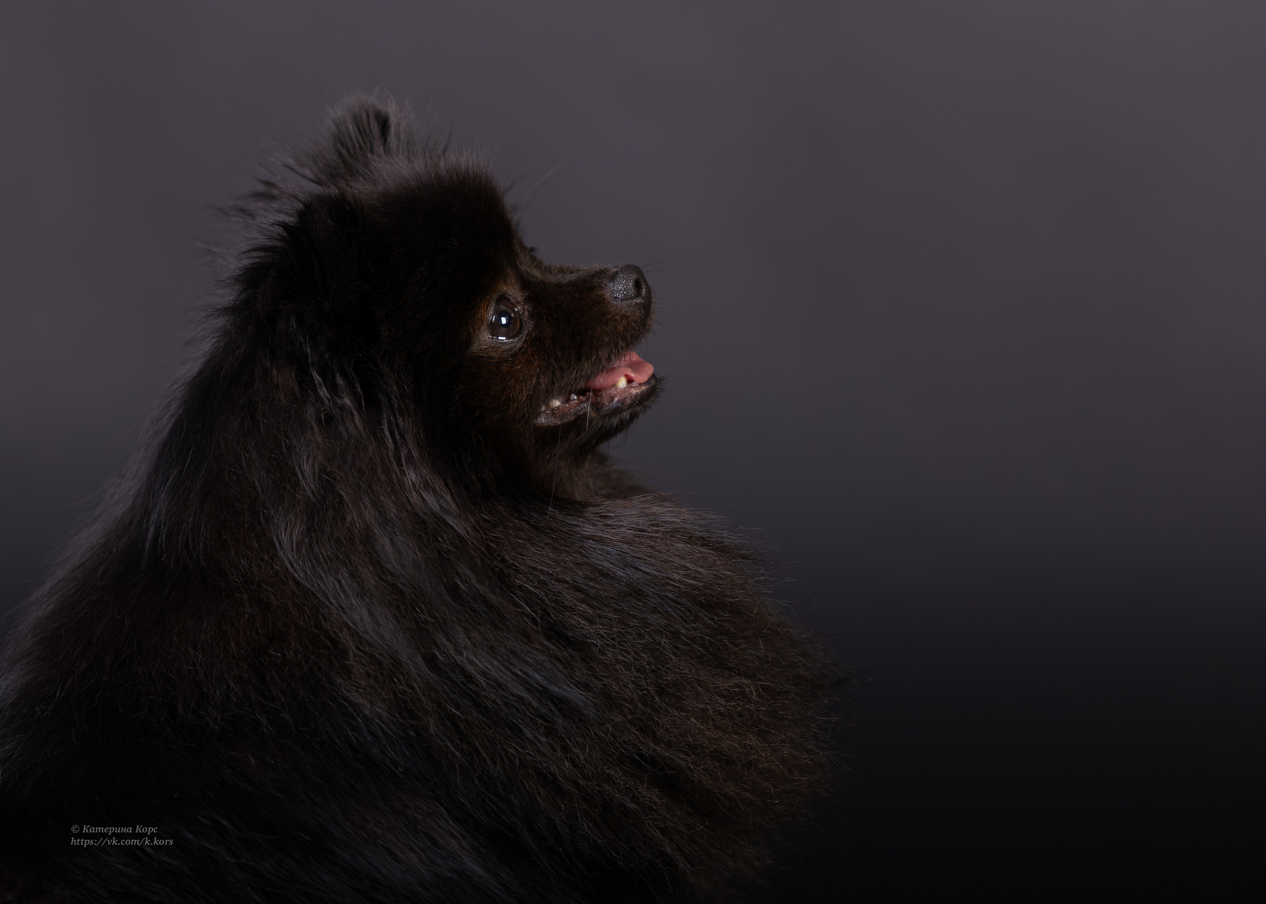 Студия. Главная