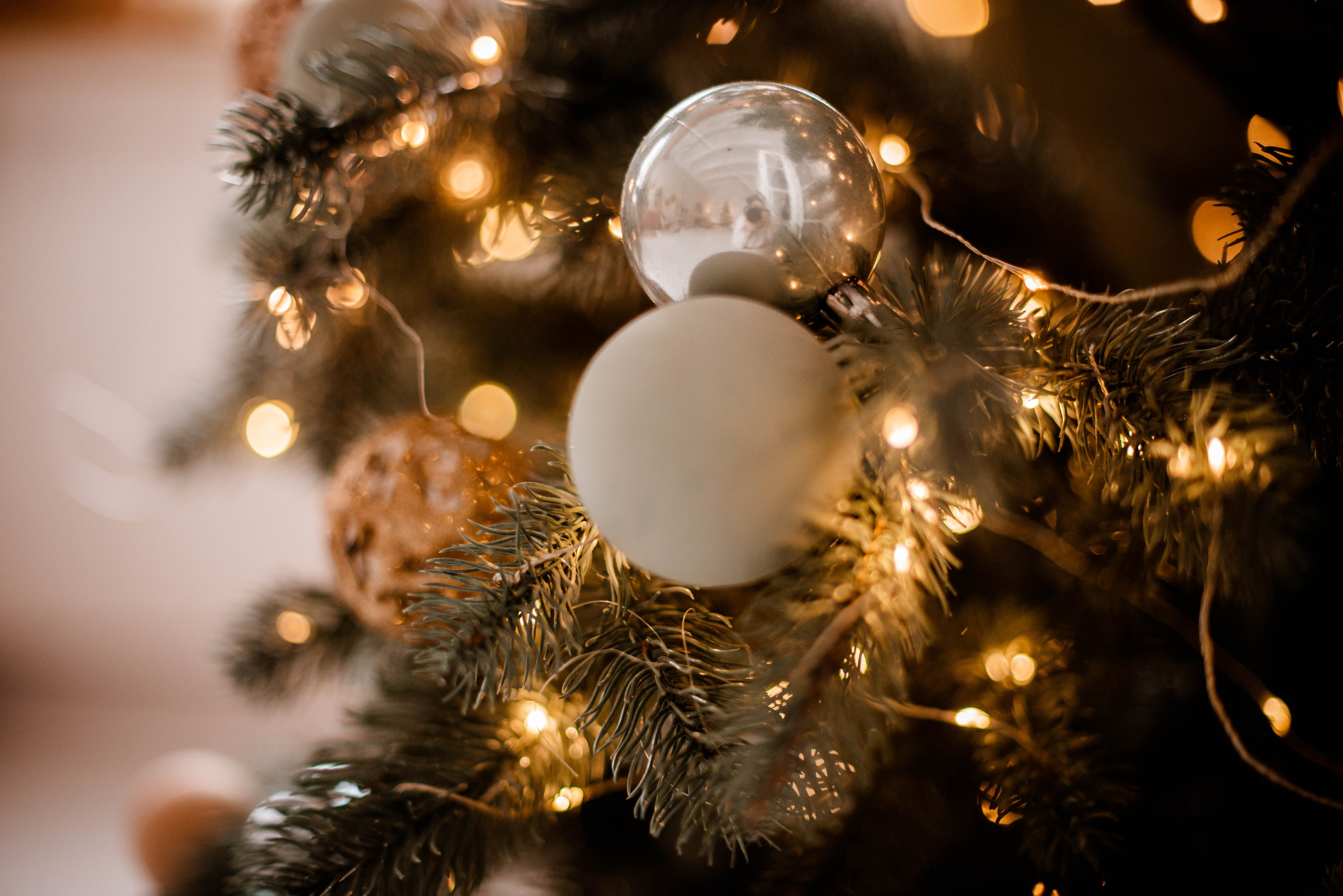 Семья. Свадебный Фотограф в Твери Анастасия Булкина