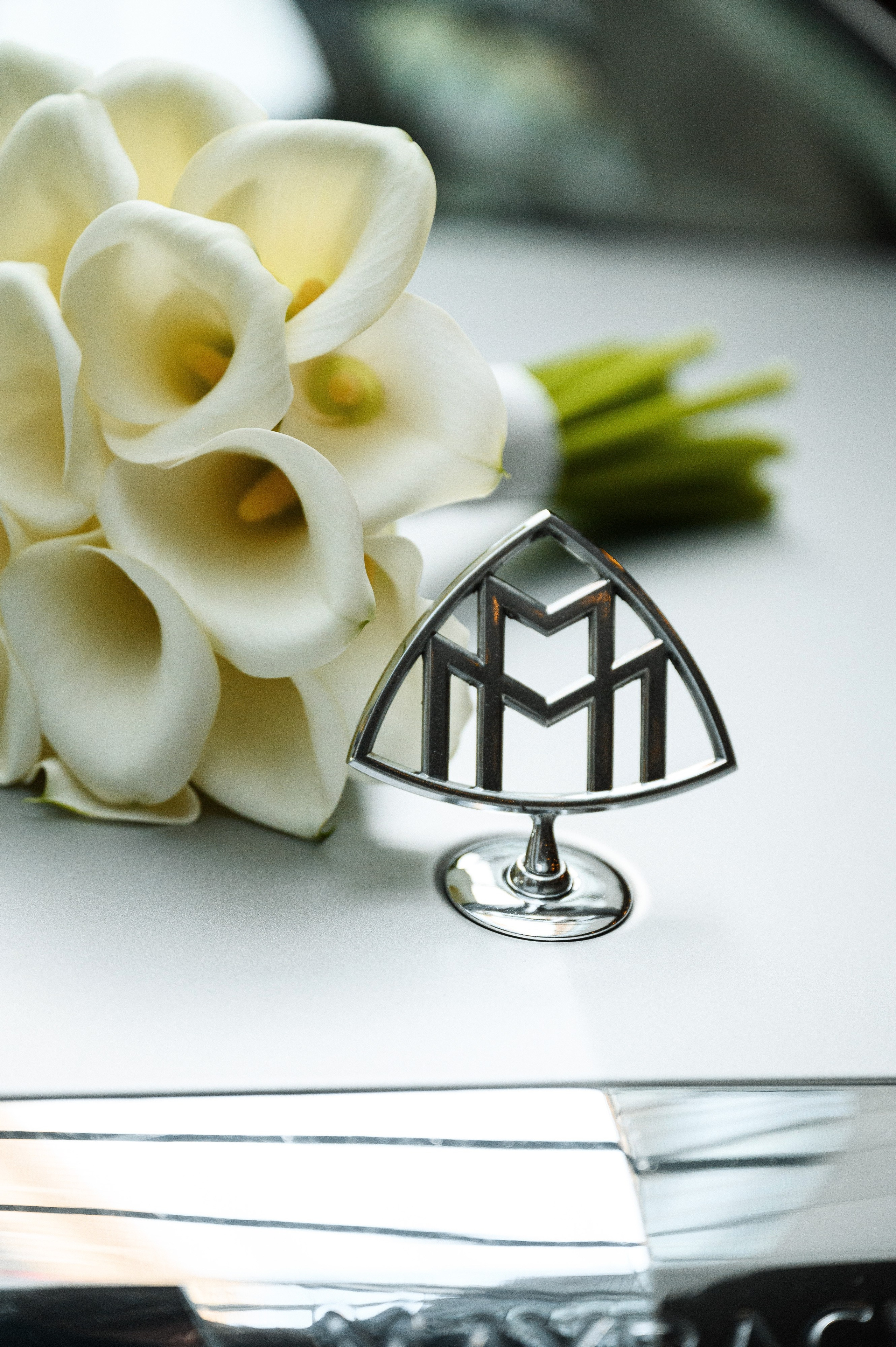 Илья & Алина