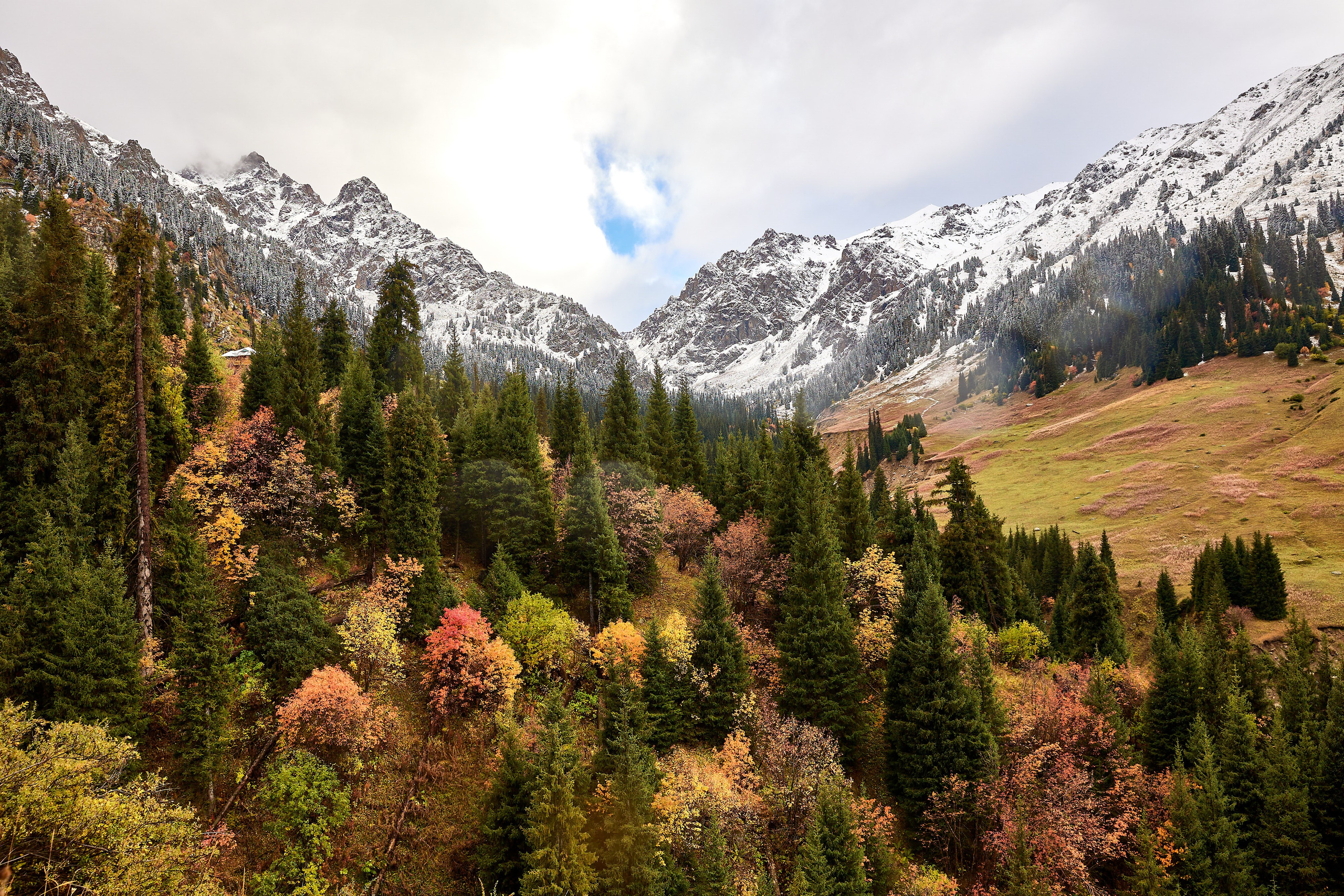 Путешествия