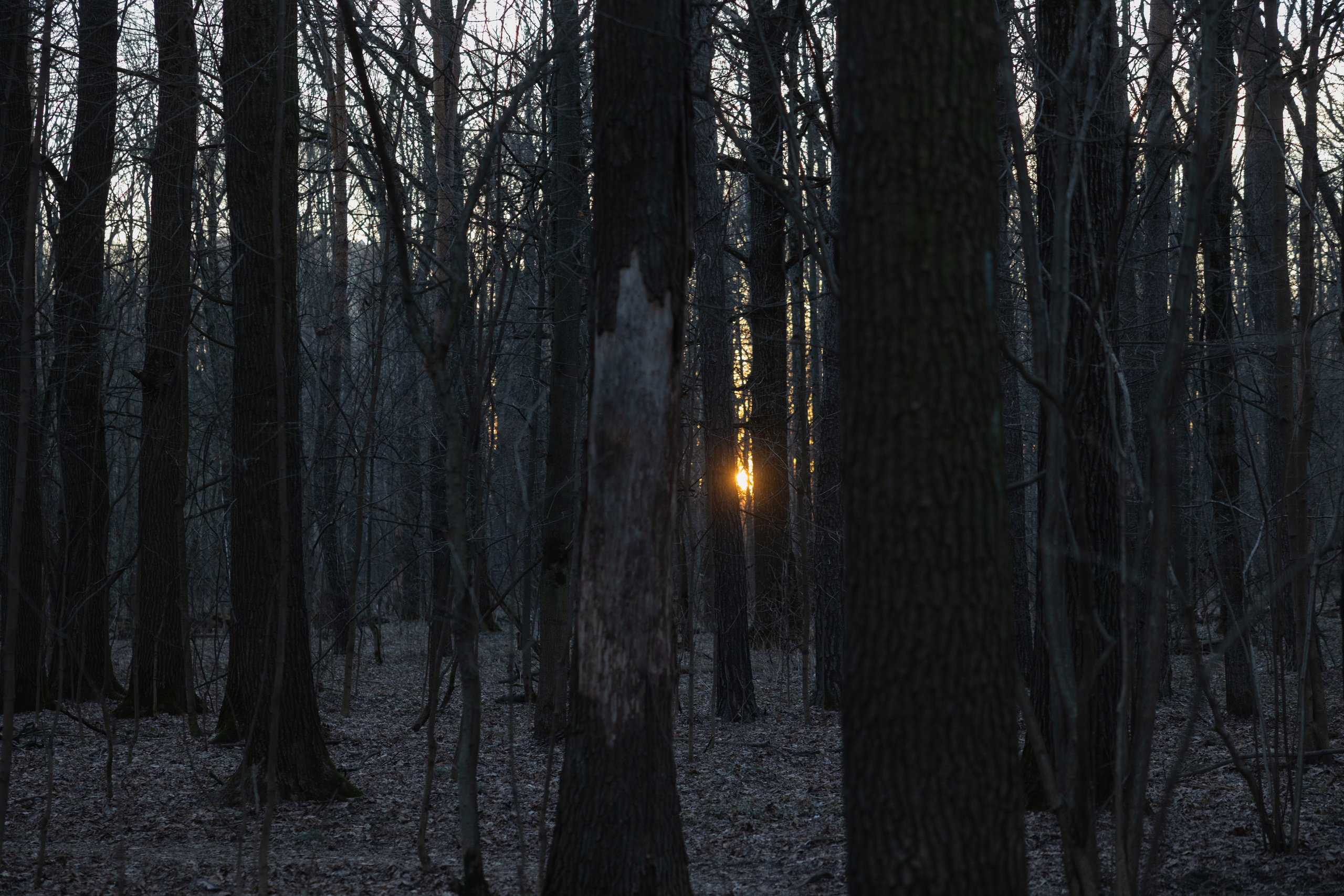 Art prints. Фотограф алина стерхова, алина стерхова фотограф, фотограф москва