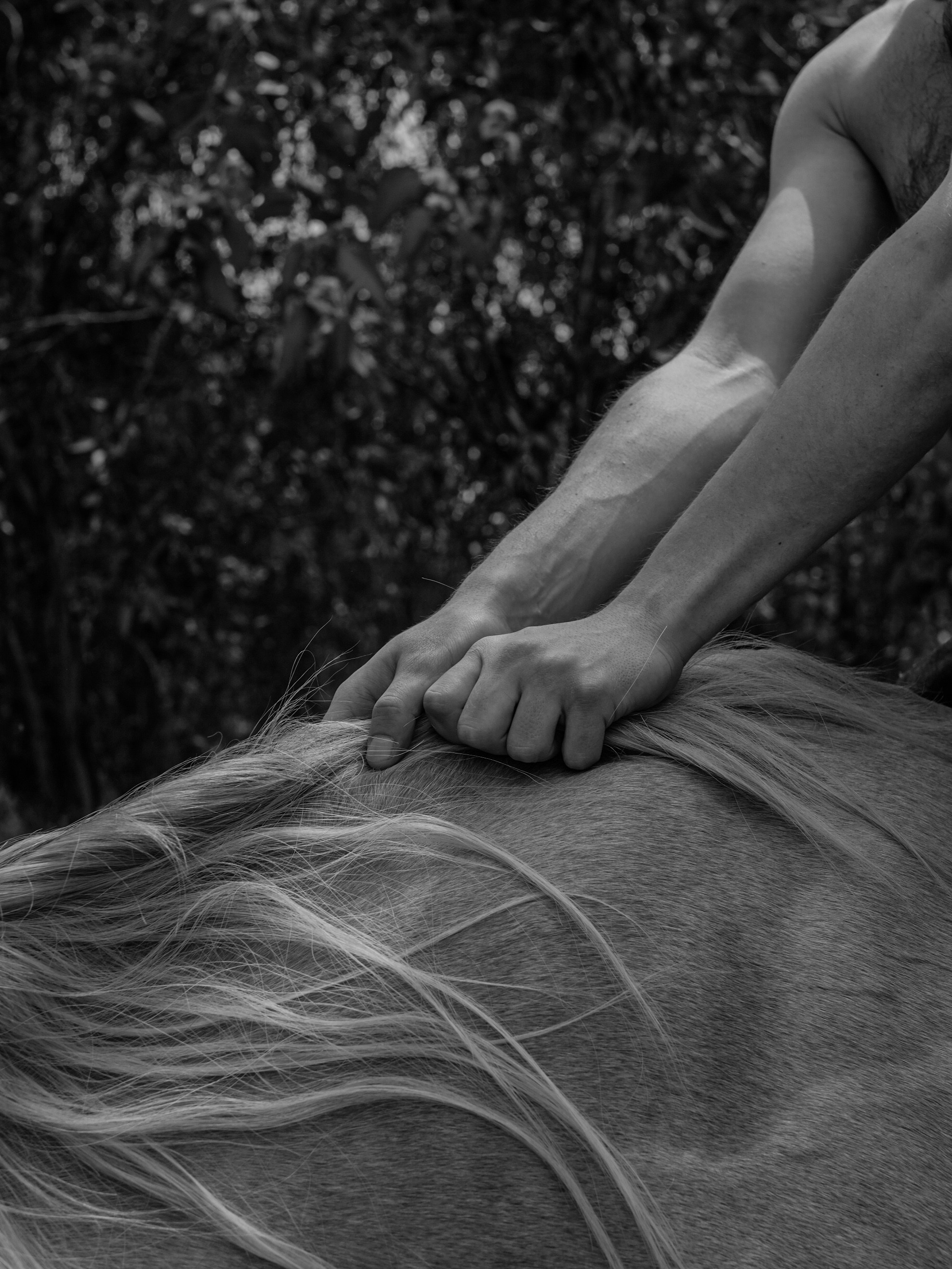 Персональные съемки. Фотограф Полина Гольдис