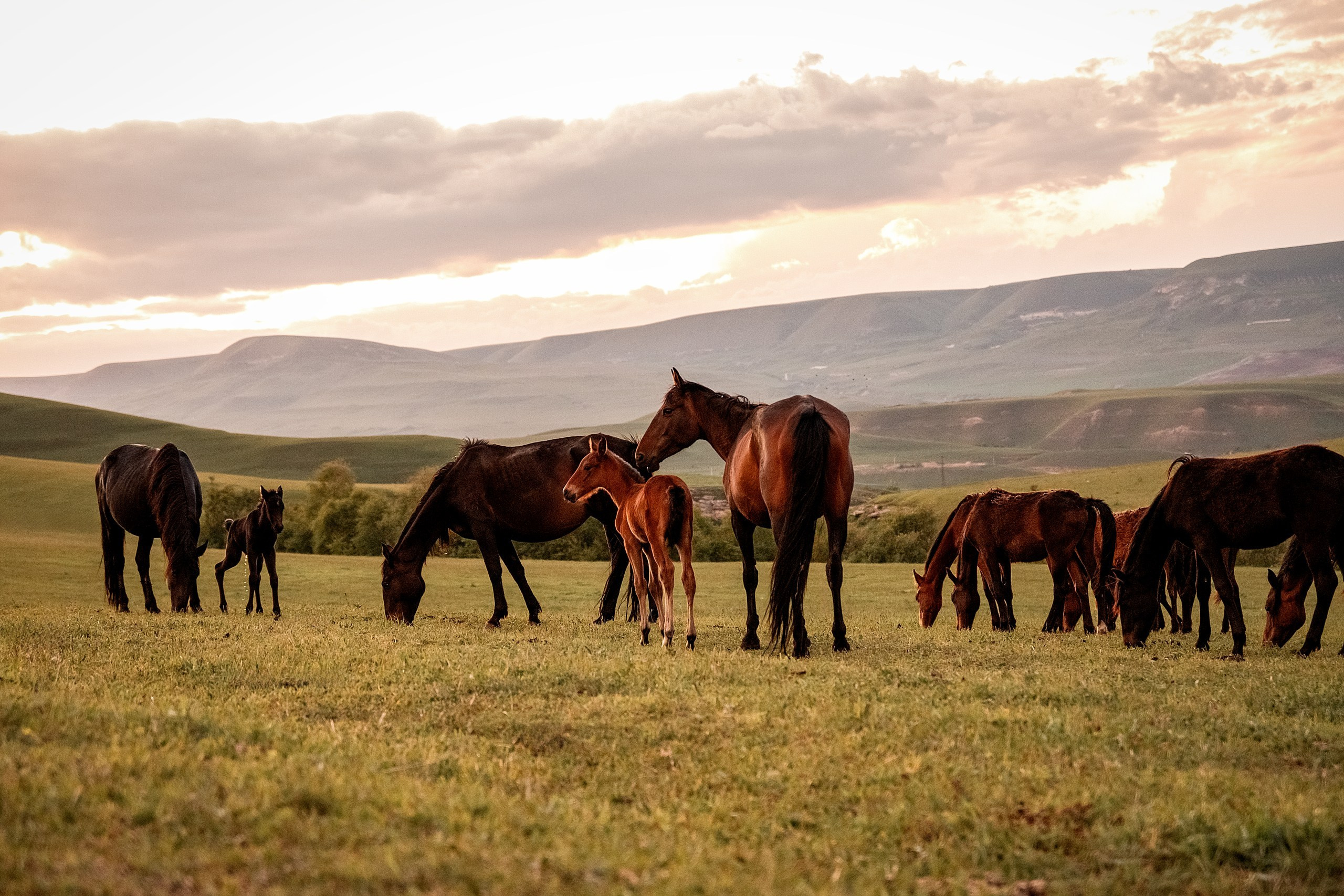 Майское закатное. BrisArts