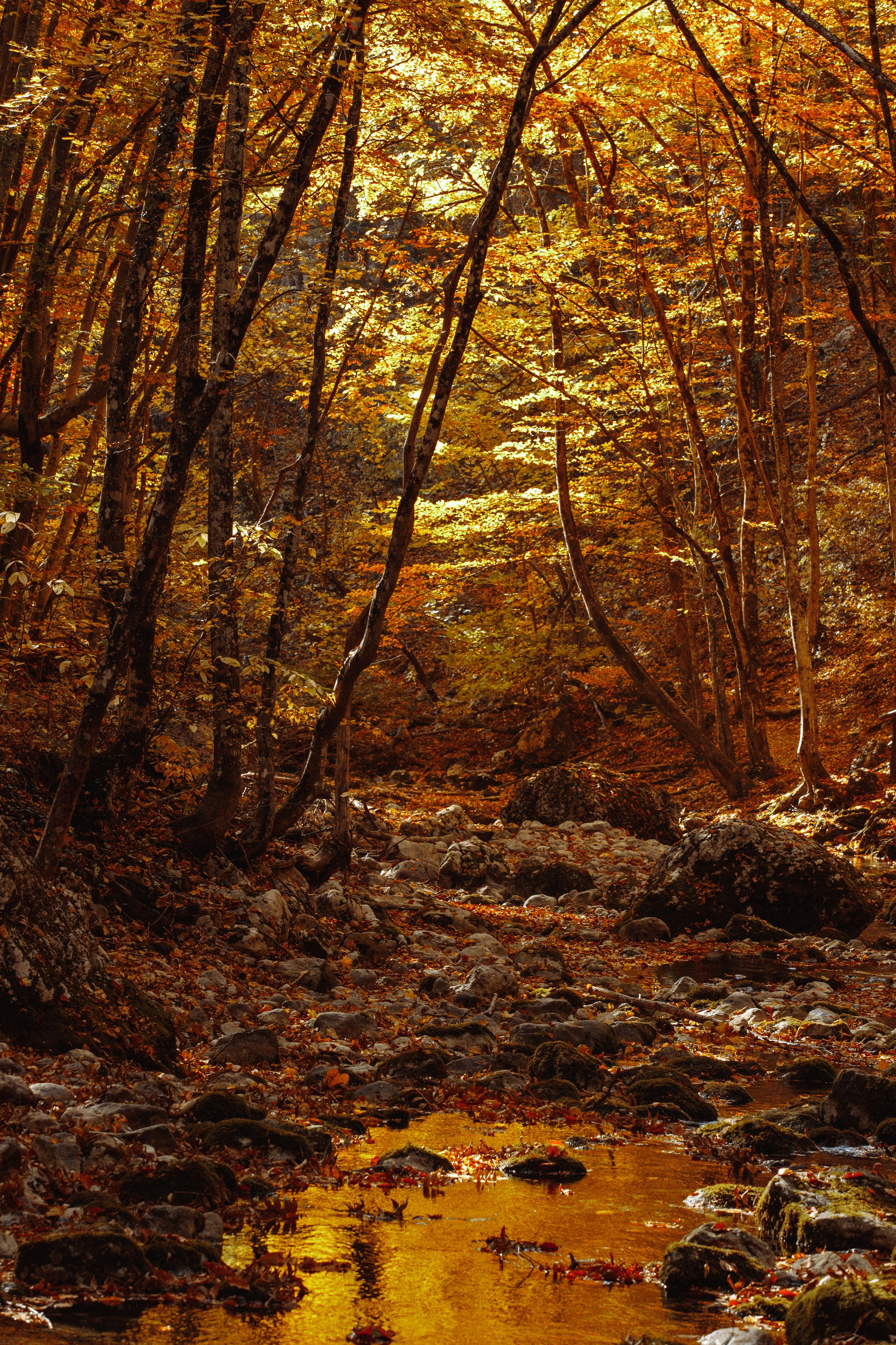 Nature. Артем Корнев Фотограф