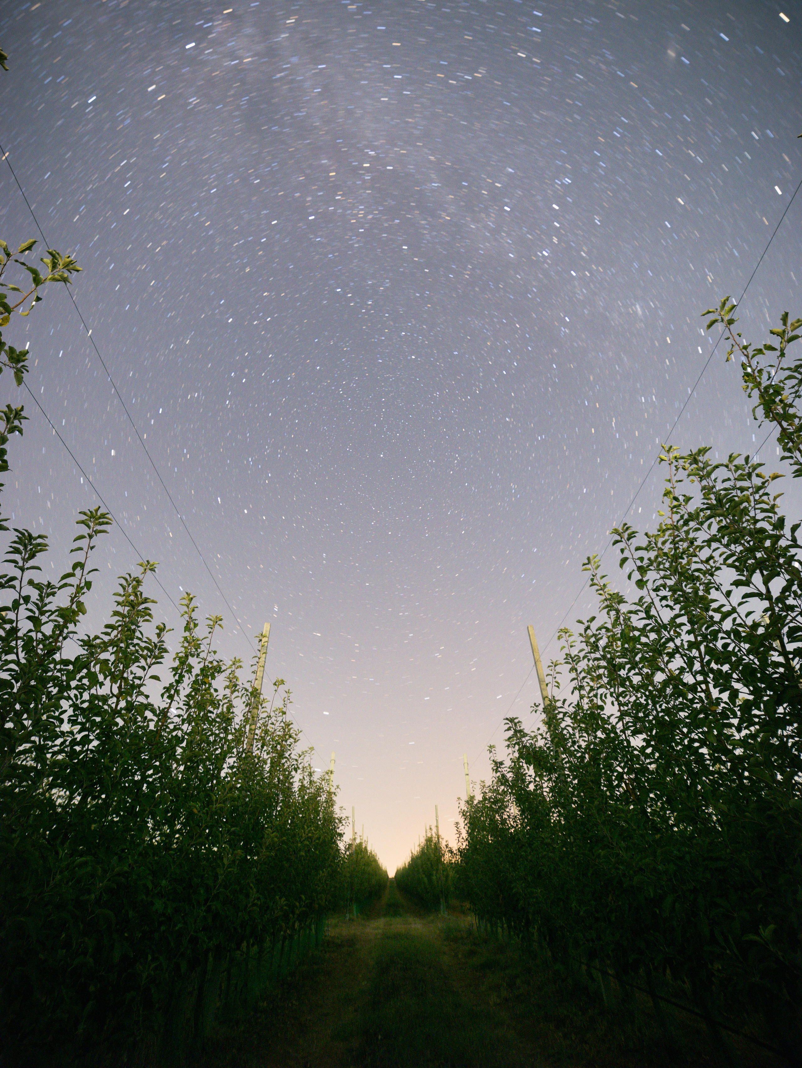 Domik в саду. Артем Корнев Фотограф