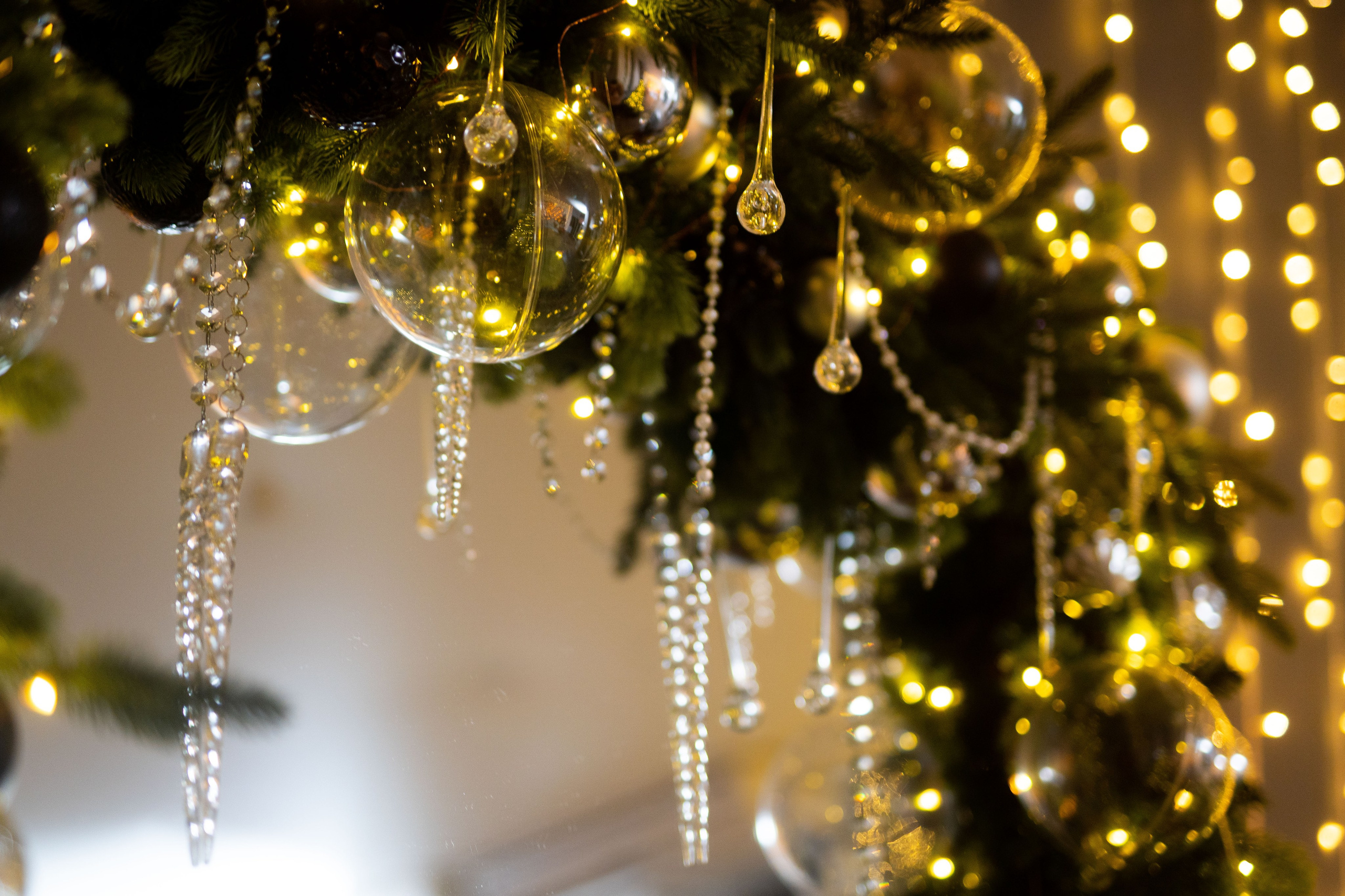 Зал Цветной. Фотограф г. Хабаровск. Семейные и индивидуальные съёмки