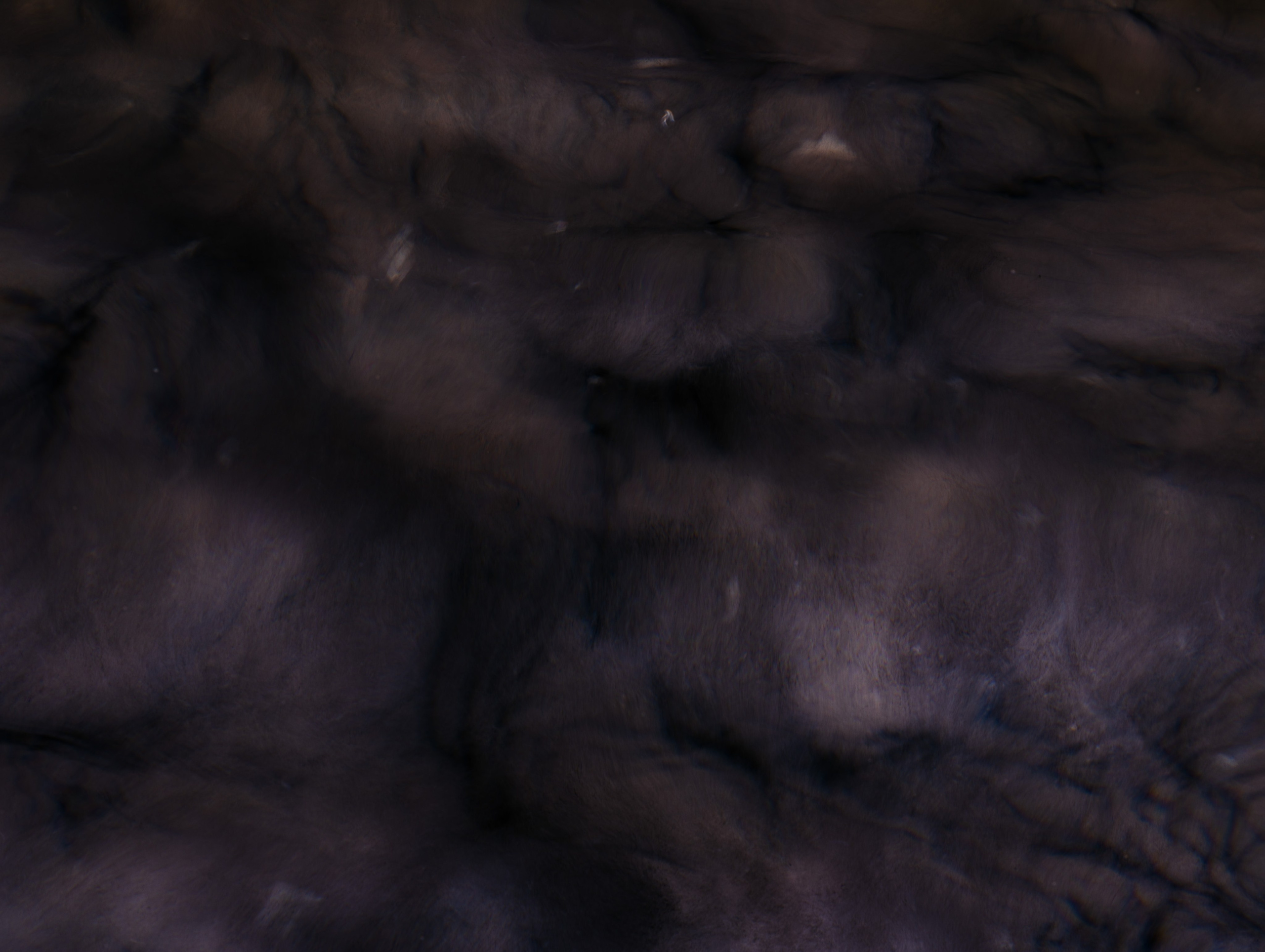 Света Каверина | I am the Sea. Private image