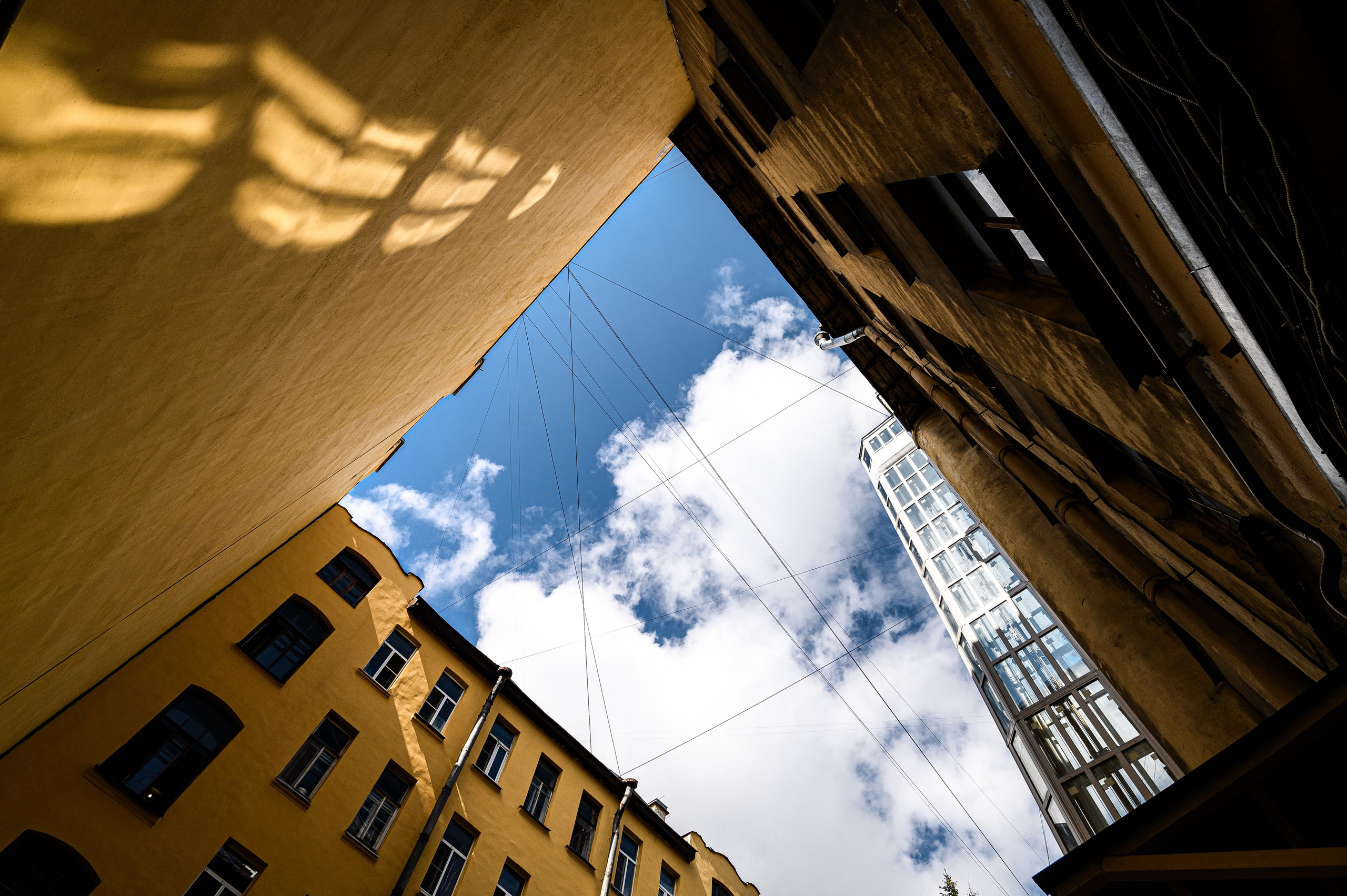 Большой проспект П.С., 88