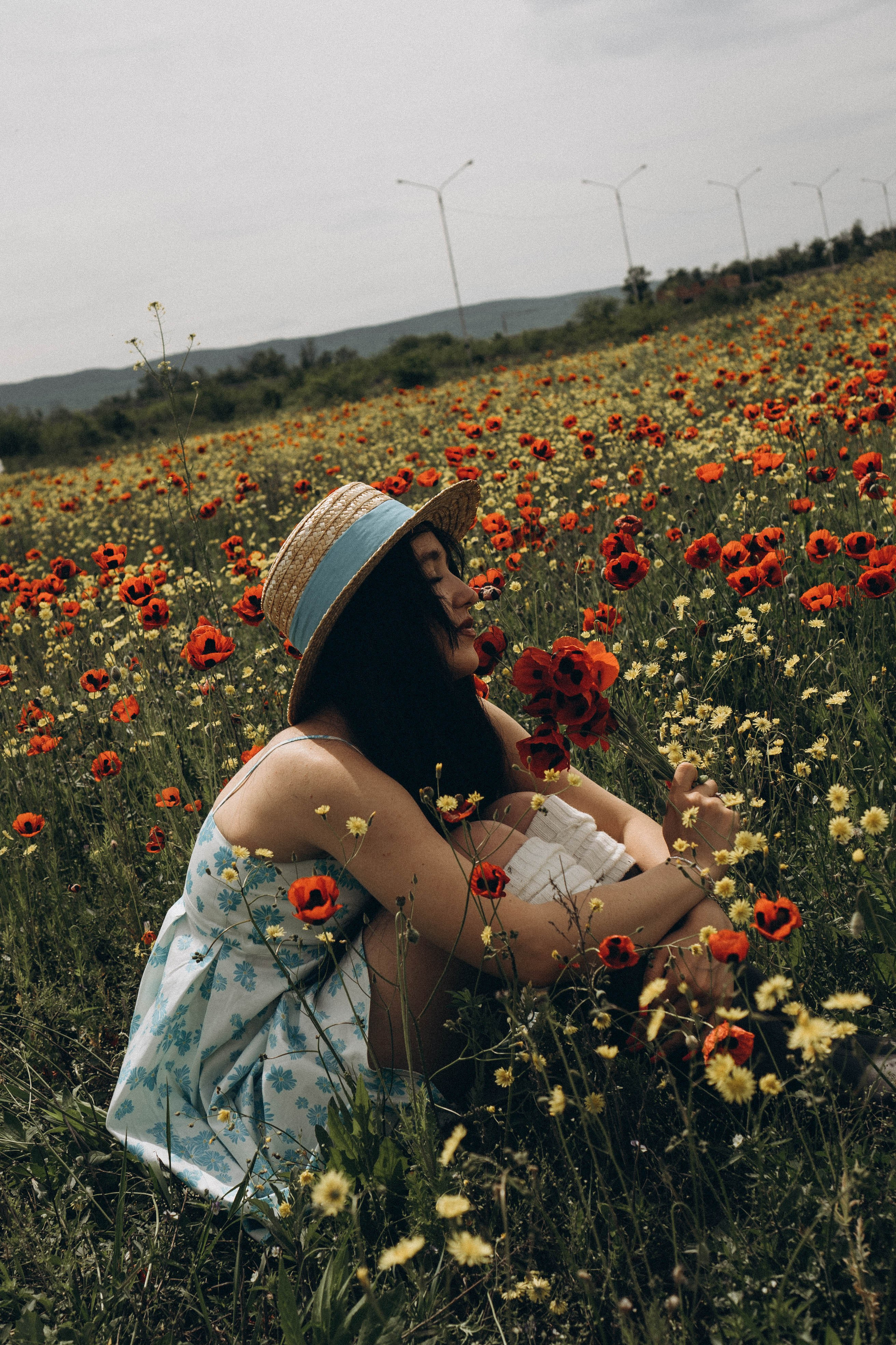 Цветочная поляна. Профессиональный фотограф, Санкт-Петербург — Виктория Богомолова