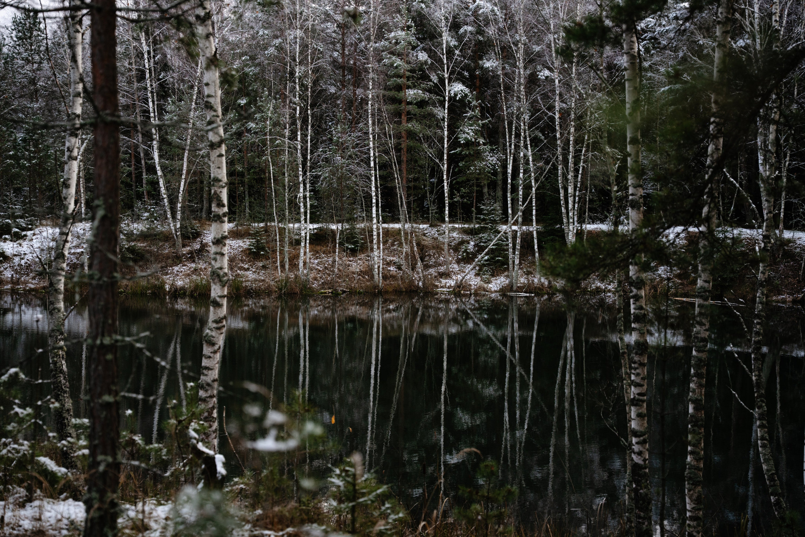 Суворовские карьеры. Vlad Trykov