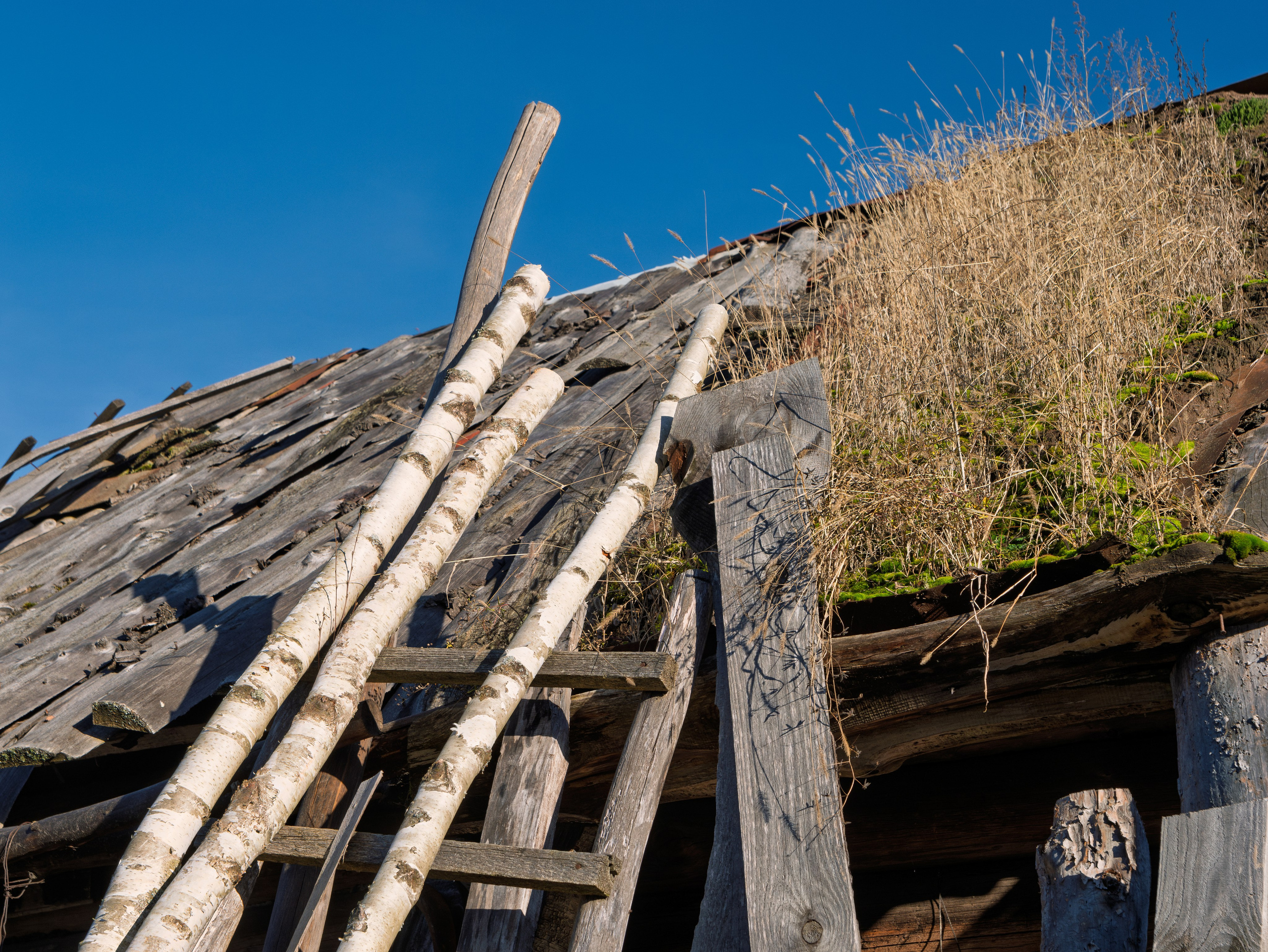 Голубые озера, Псковская область. Октябрь 2024. Фотограф Никифоров-Гордеев Сергей. Москва и МО