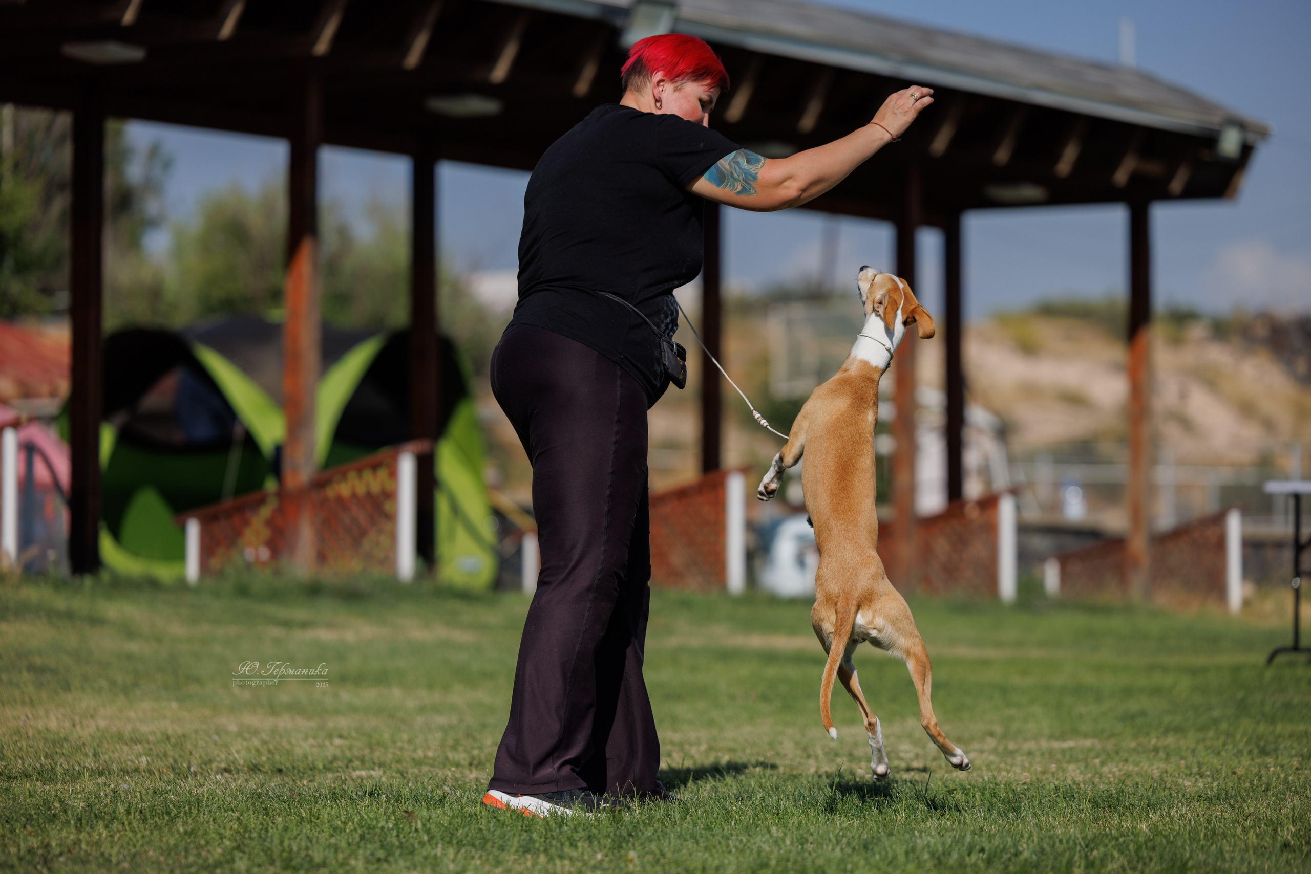 Ереван 3хCACIB 23-25.06.2025. Фотограф-анималист Юлия Германика
