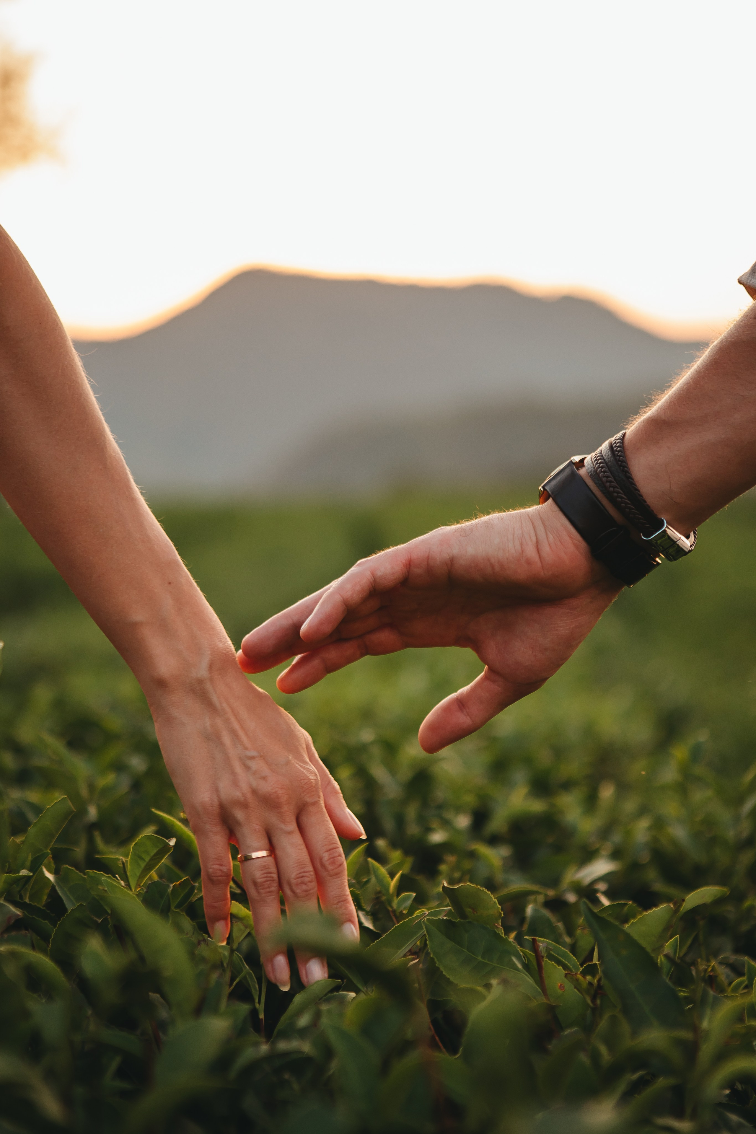 Наши мгновения. Семейный и свадебный фотограф Сочи Адлер Сириус Красная поляна