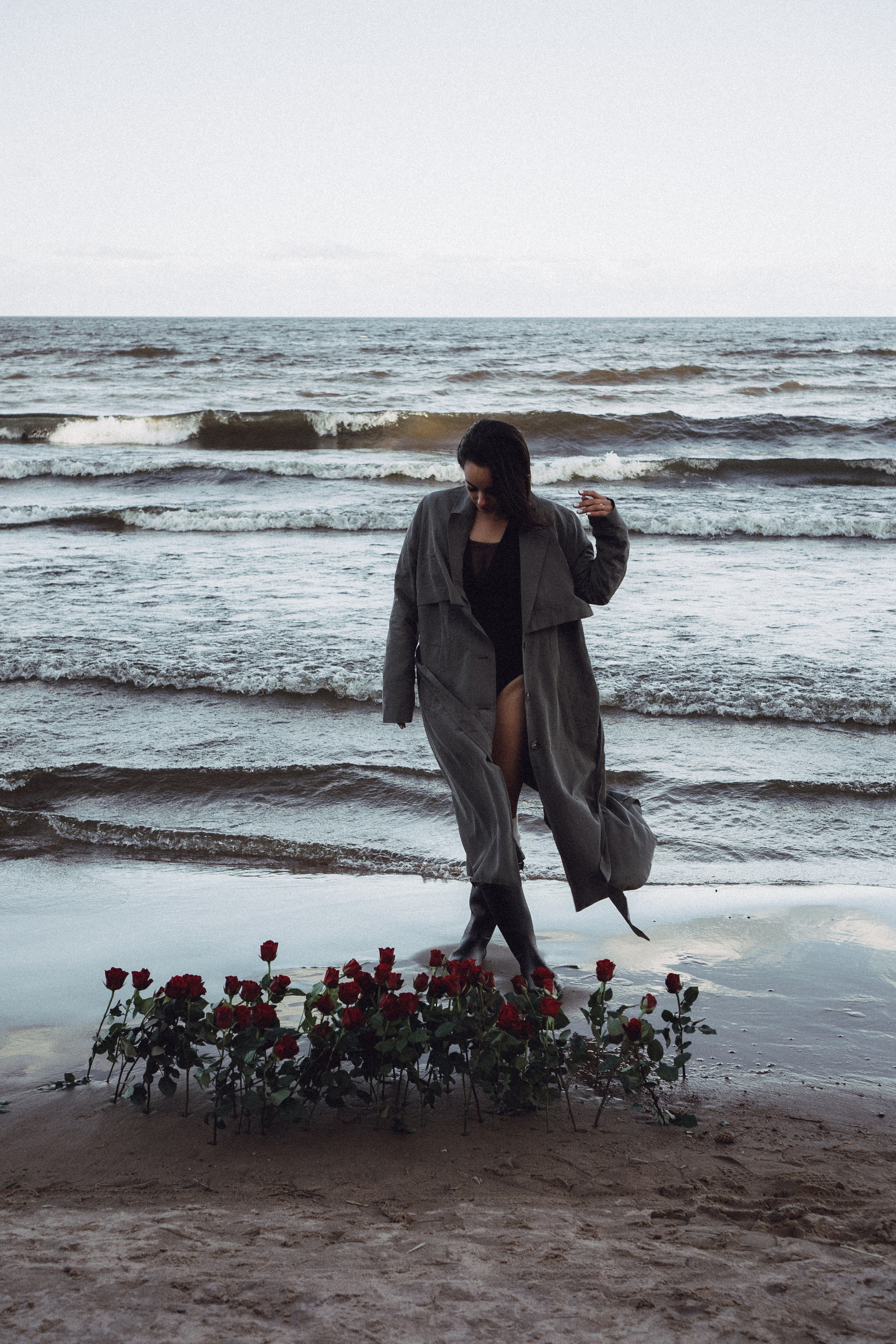 Розы. Профессиональный фотограф, Санкт-Петербург — Виктория Богомолова