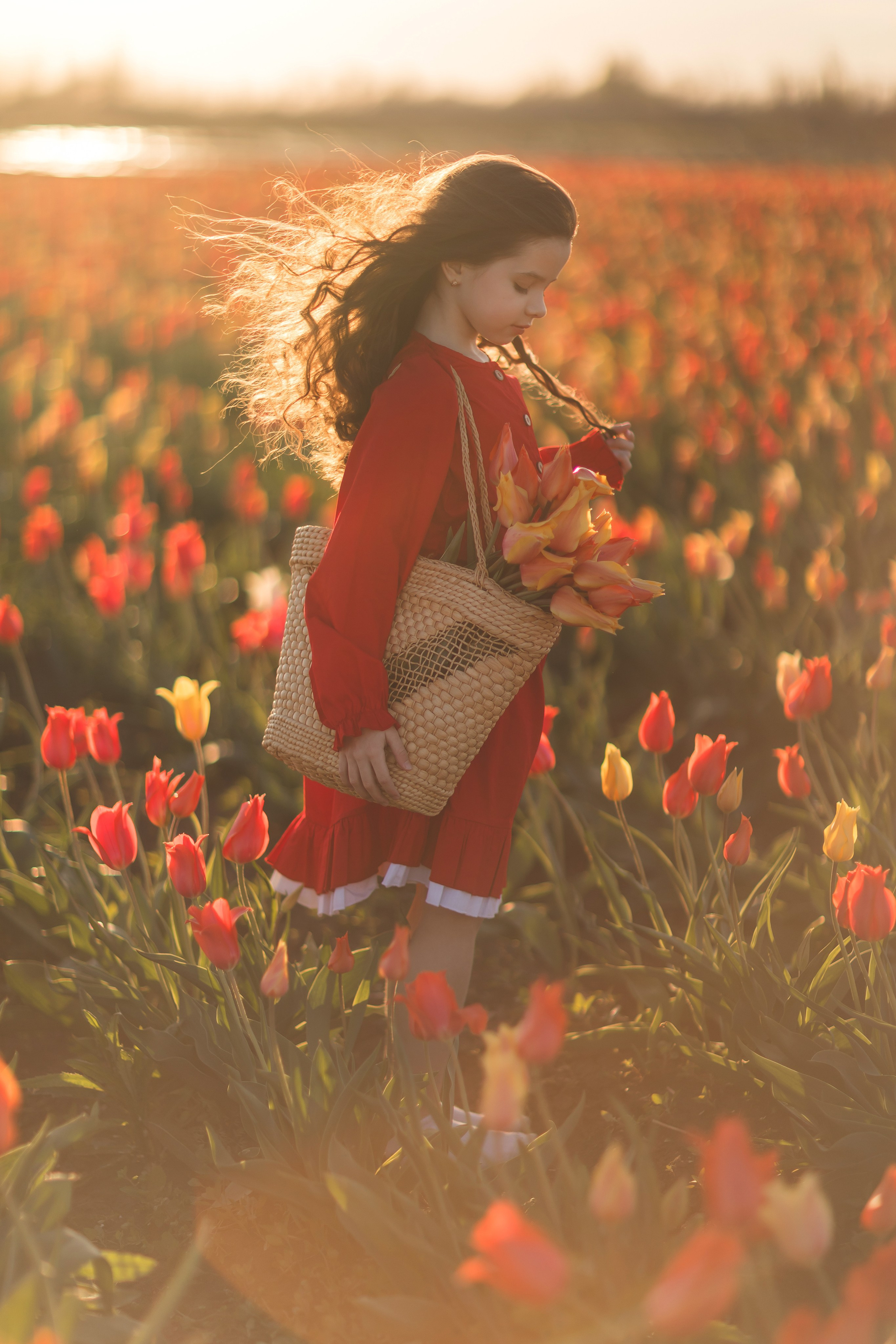 Тюльпаны 19 апреля. Семейный и детский фотограф Краснодар Валерия Власенко