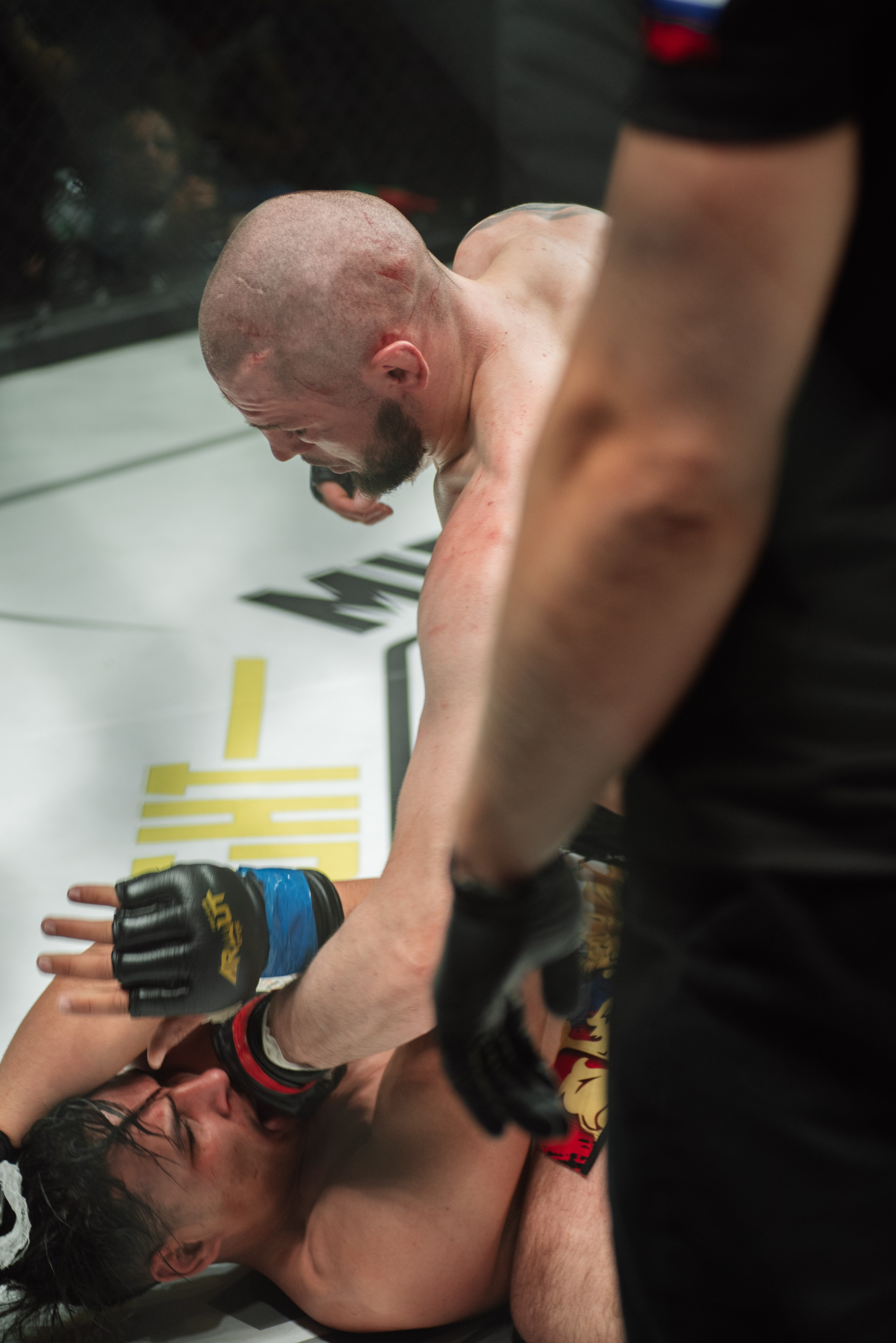 Miroslava Fight