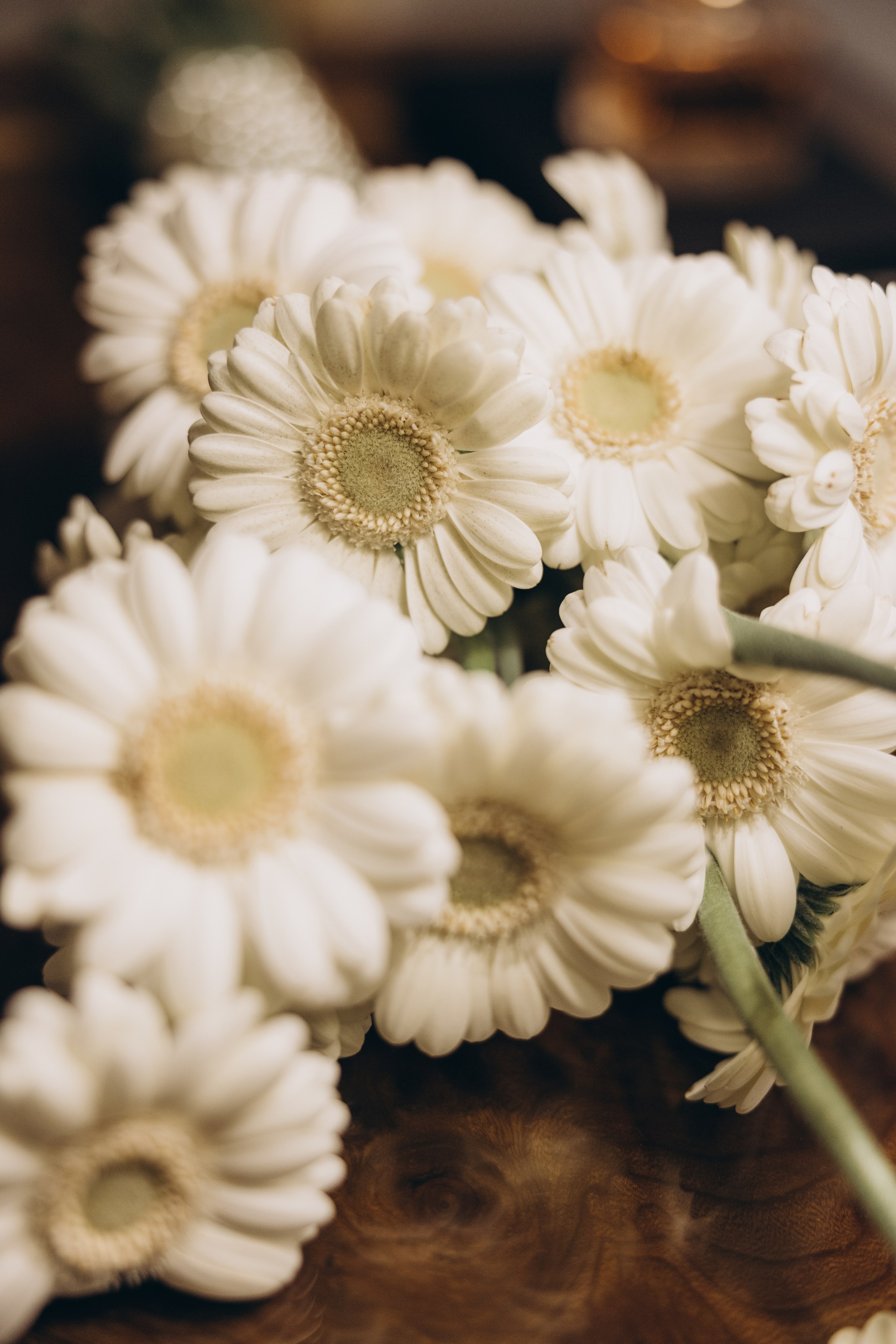 Полина & Дмитрий. Семейный фотограф в Москве Виктория Ястребинская