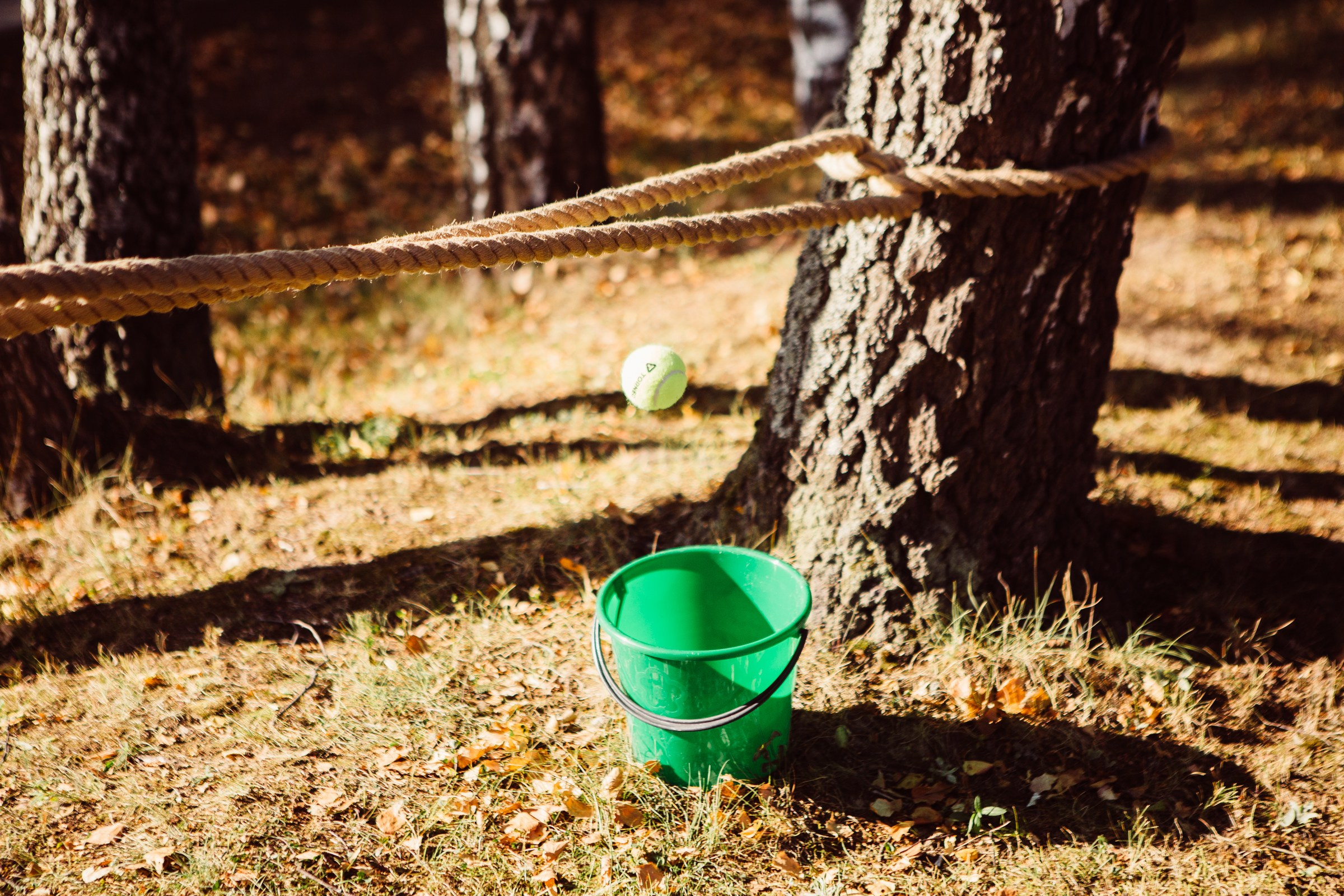 Simbio 15 лет. Главная