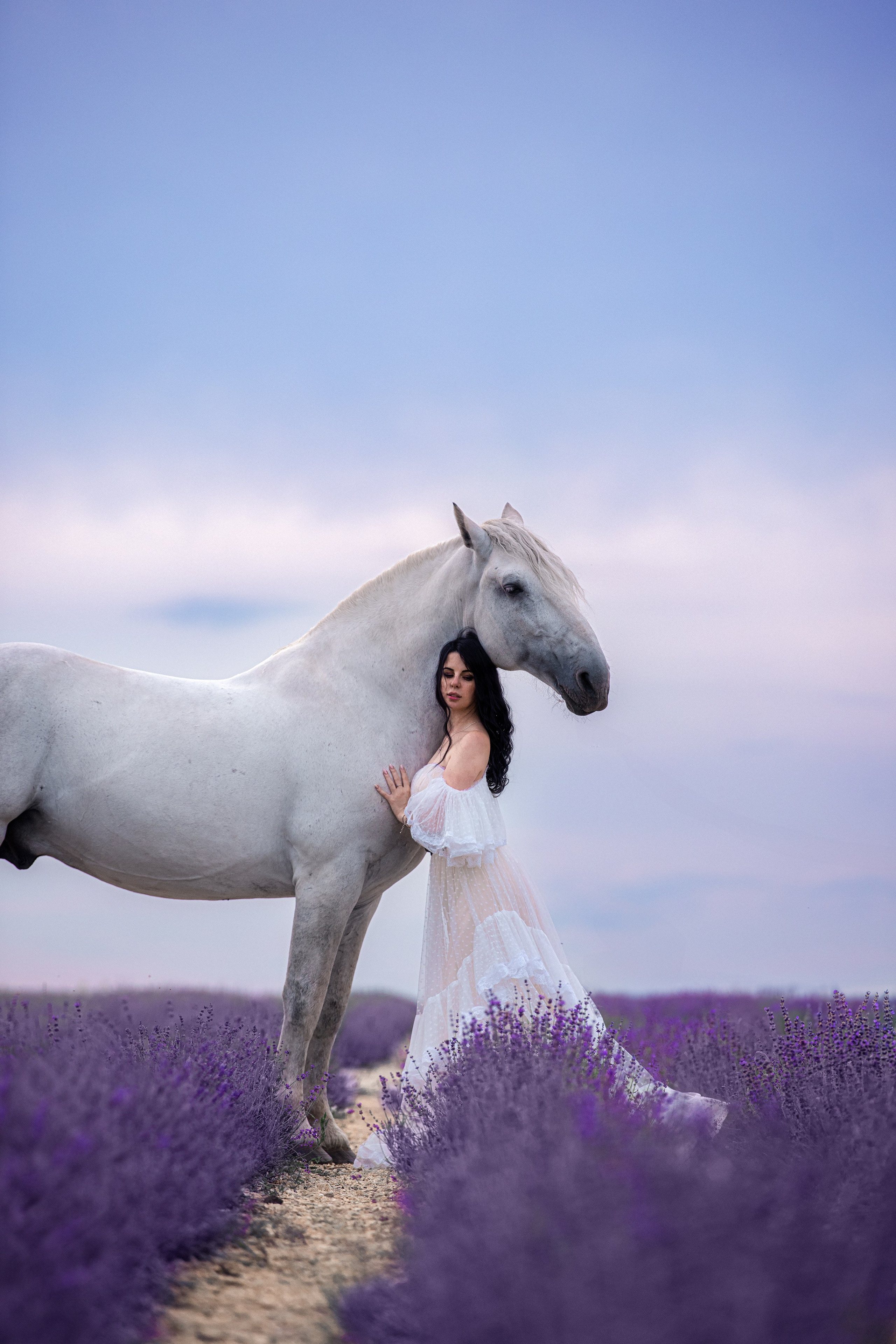 Художественная съёмка с лошадью 