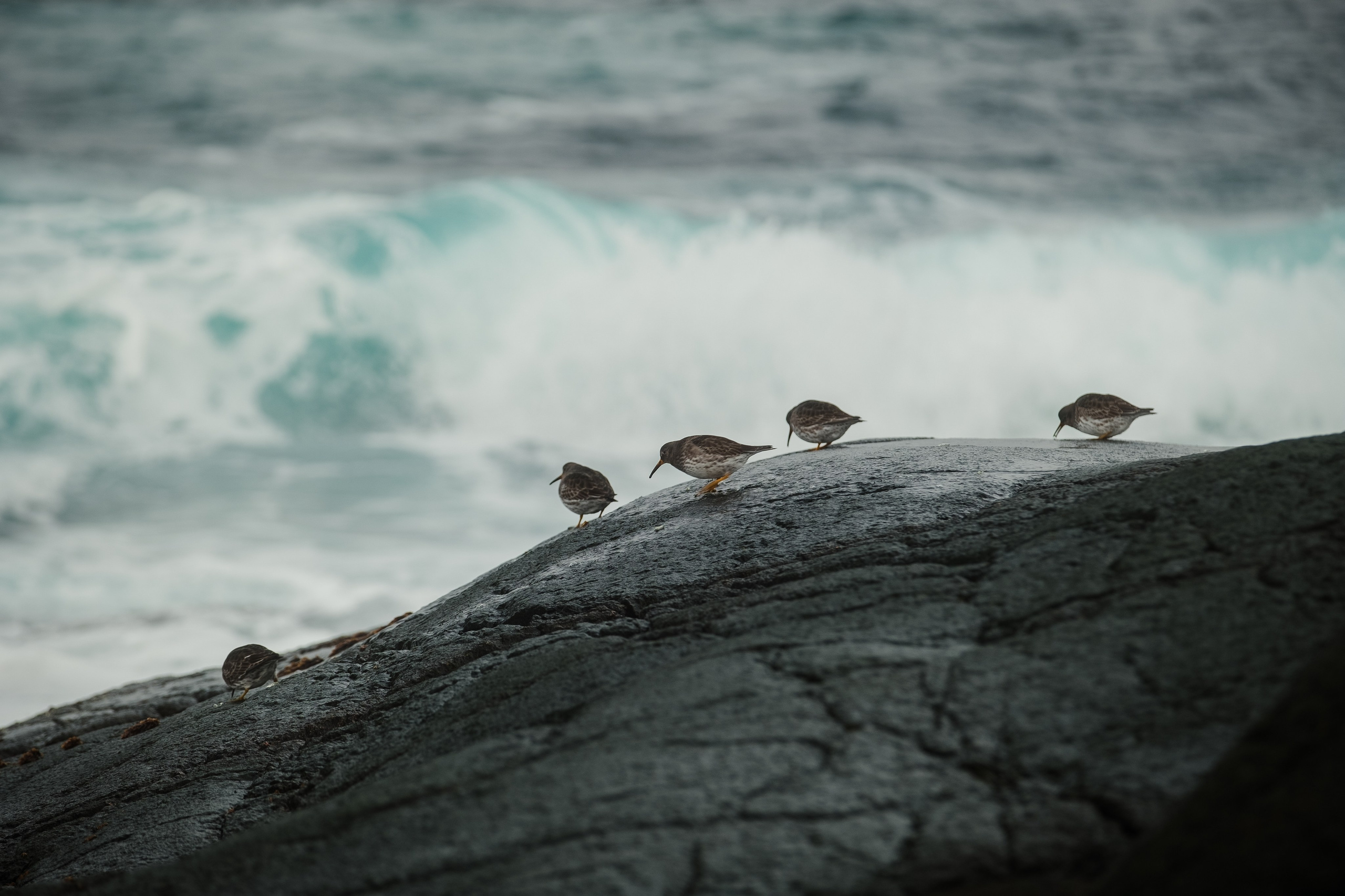 Путешествия. Профессиональный фотограф Виктор Гагарин — Промышленная, Event, Портретная, Репортажная съемка в Новокузнецке, Кемерово, Новосибирске