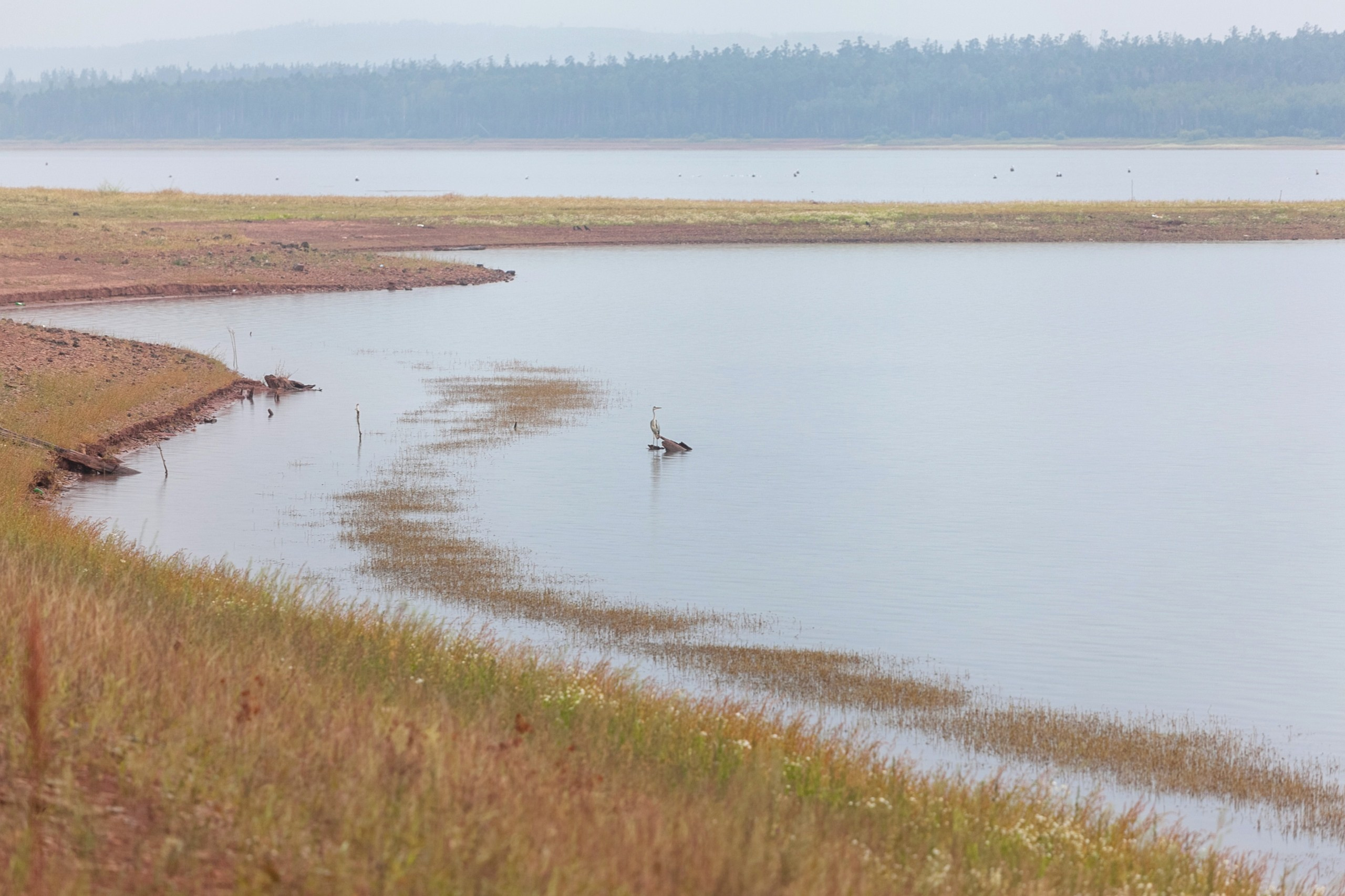 Природа и пейзажи / Nature and landscapes. Visual artist Olga Burmistrova