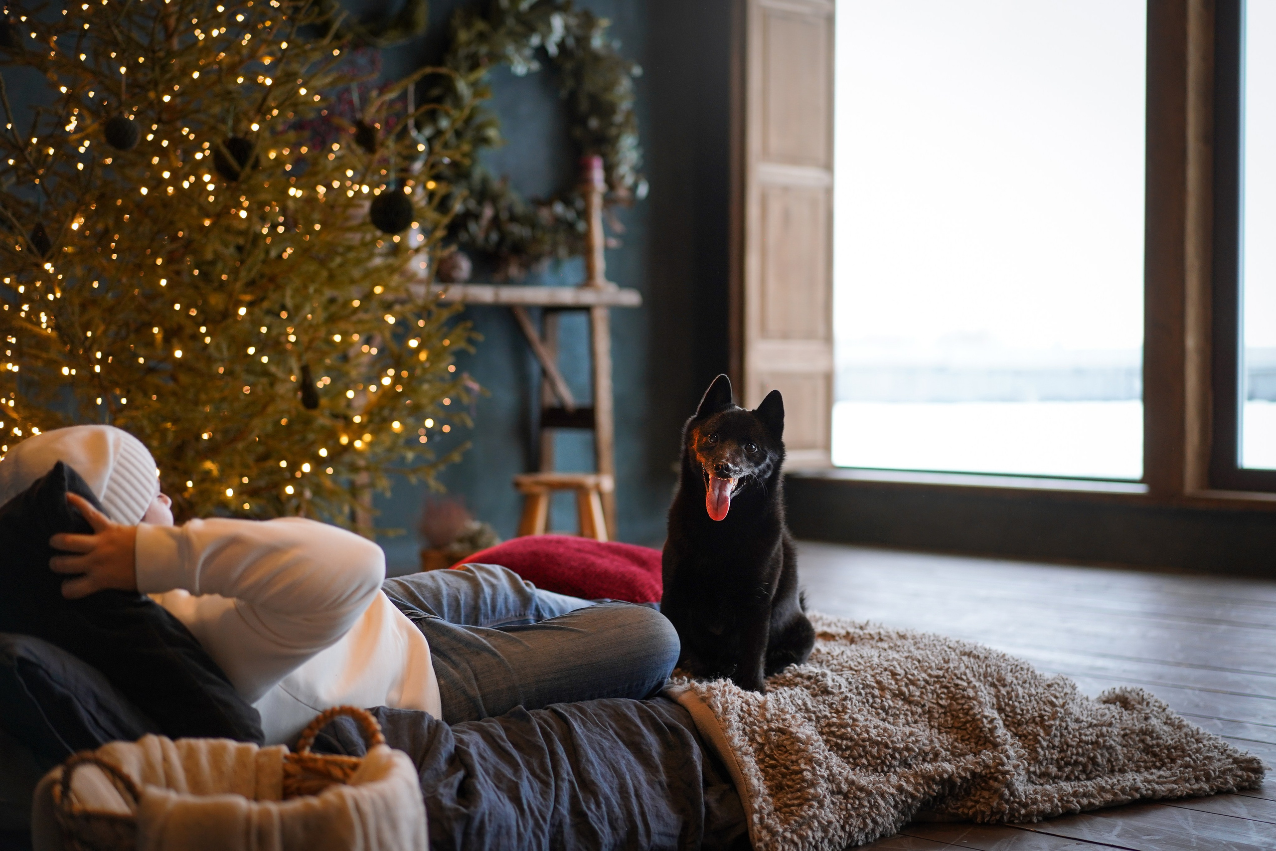 Аня и Арчи. Фотограф-анималист в Санкт-Петербурге Яна Мартынова