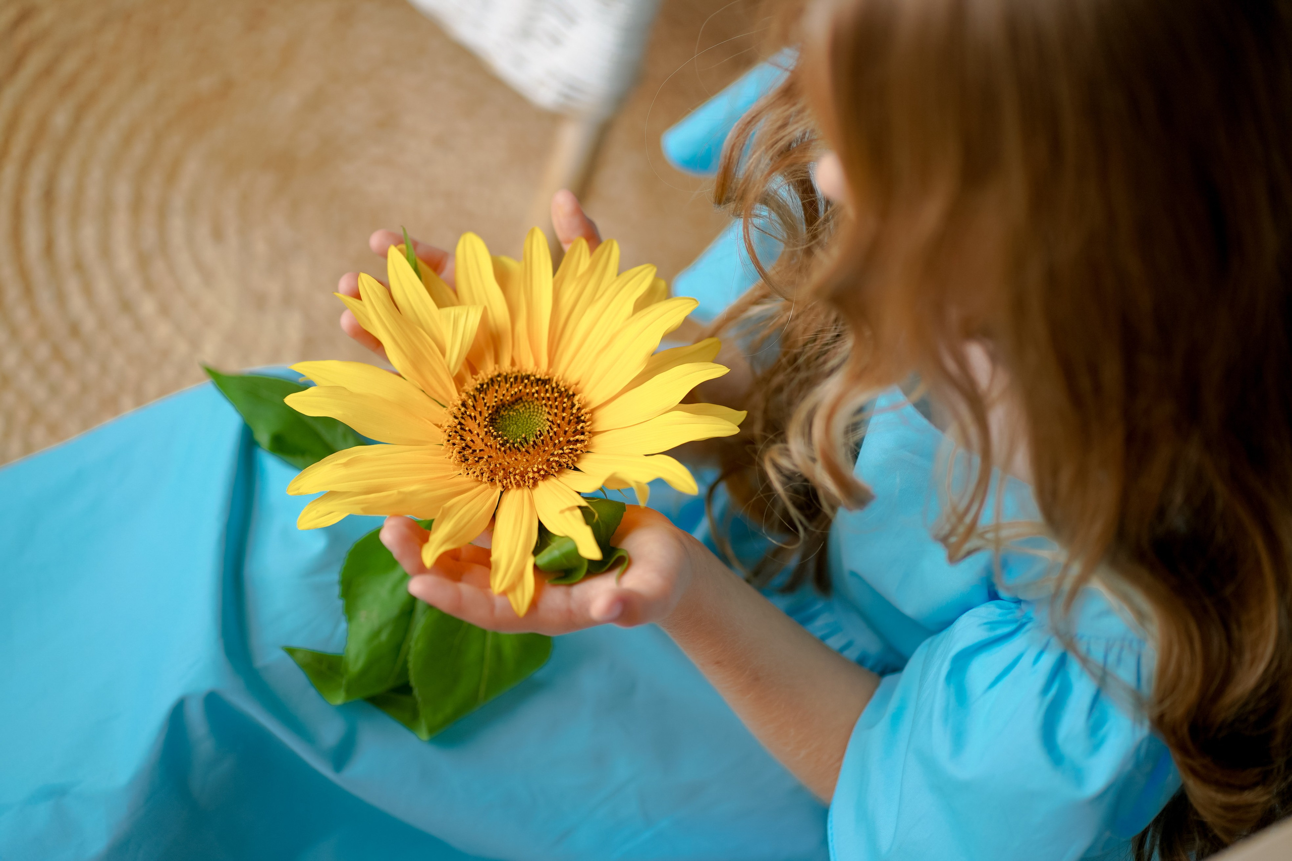 Кира с подсолнухами. Фотограф Татьяна Митрофанова