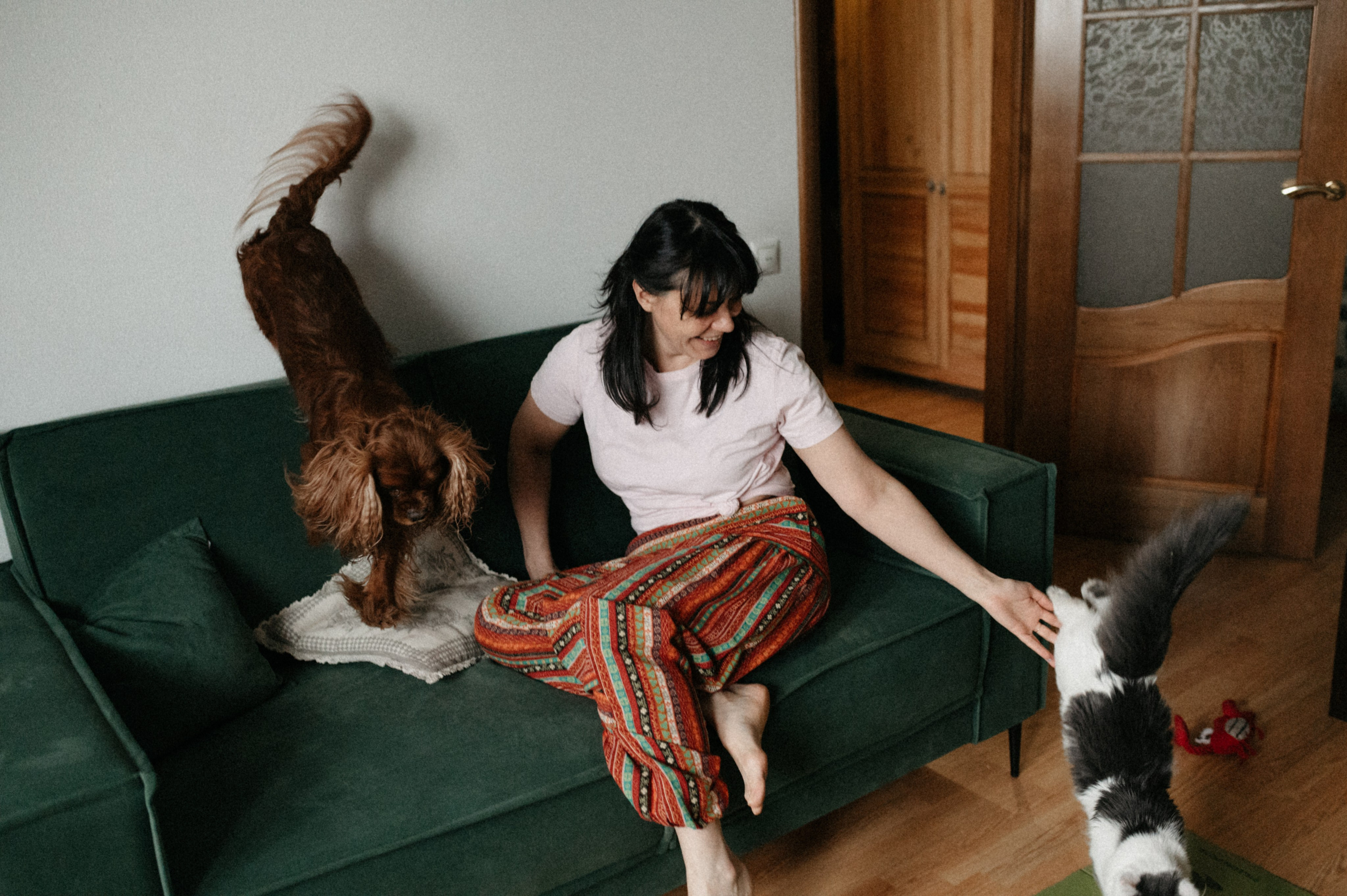 Оля и её меховая банда. Фотограф анималист в Москве Ольга Агушева