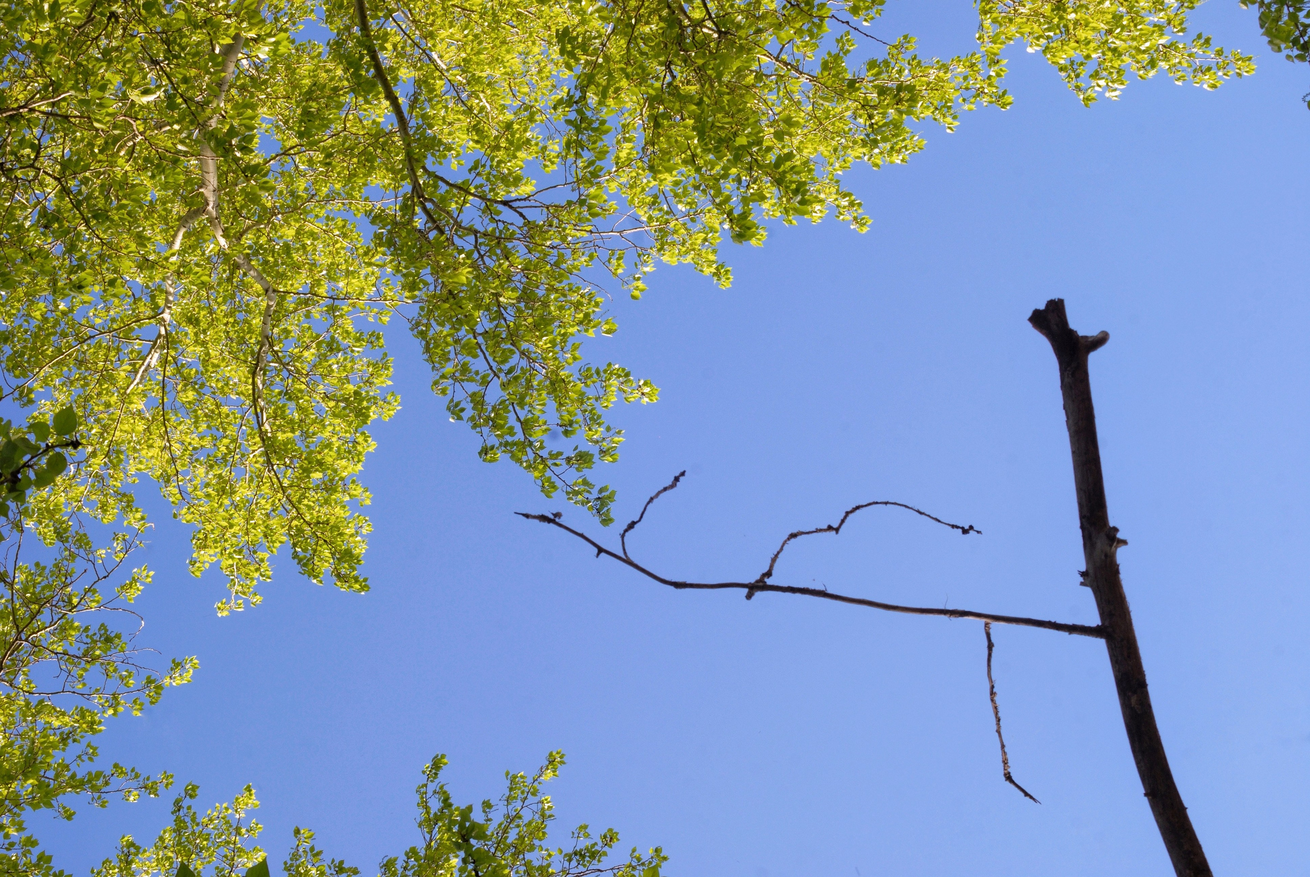 Этот прекрасный мир