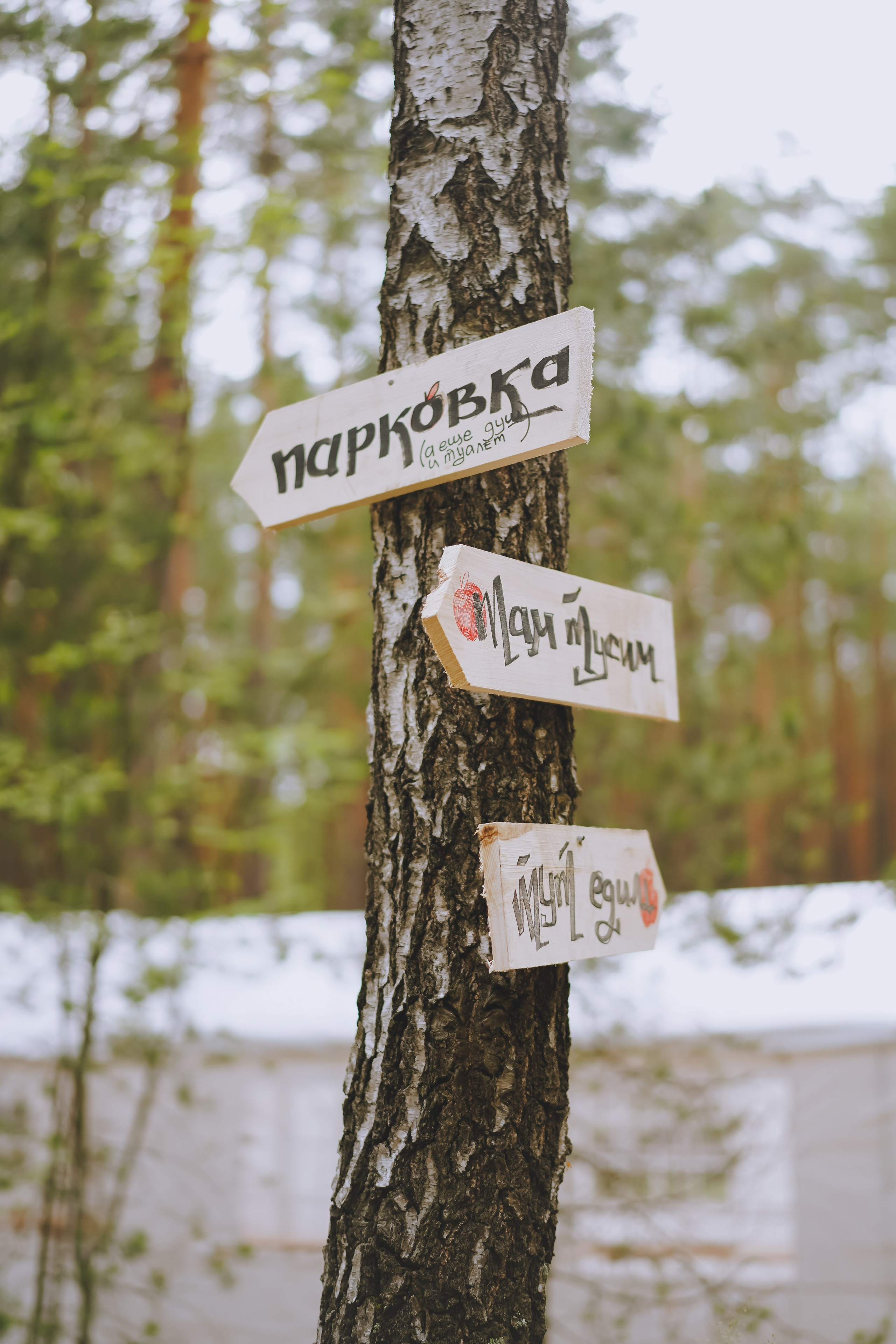 Палаточный форум CAMPot 2025. Фотограф Надежда Погребняк | Рязань | Москва