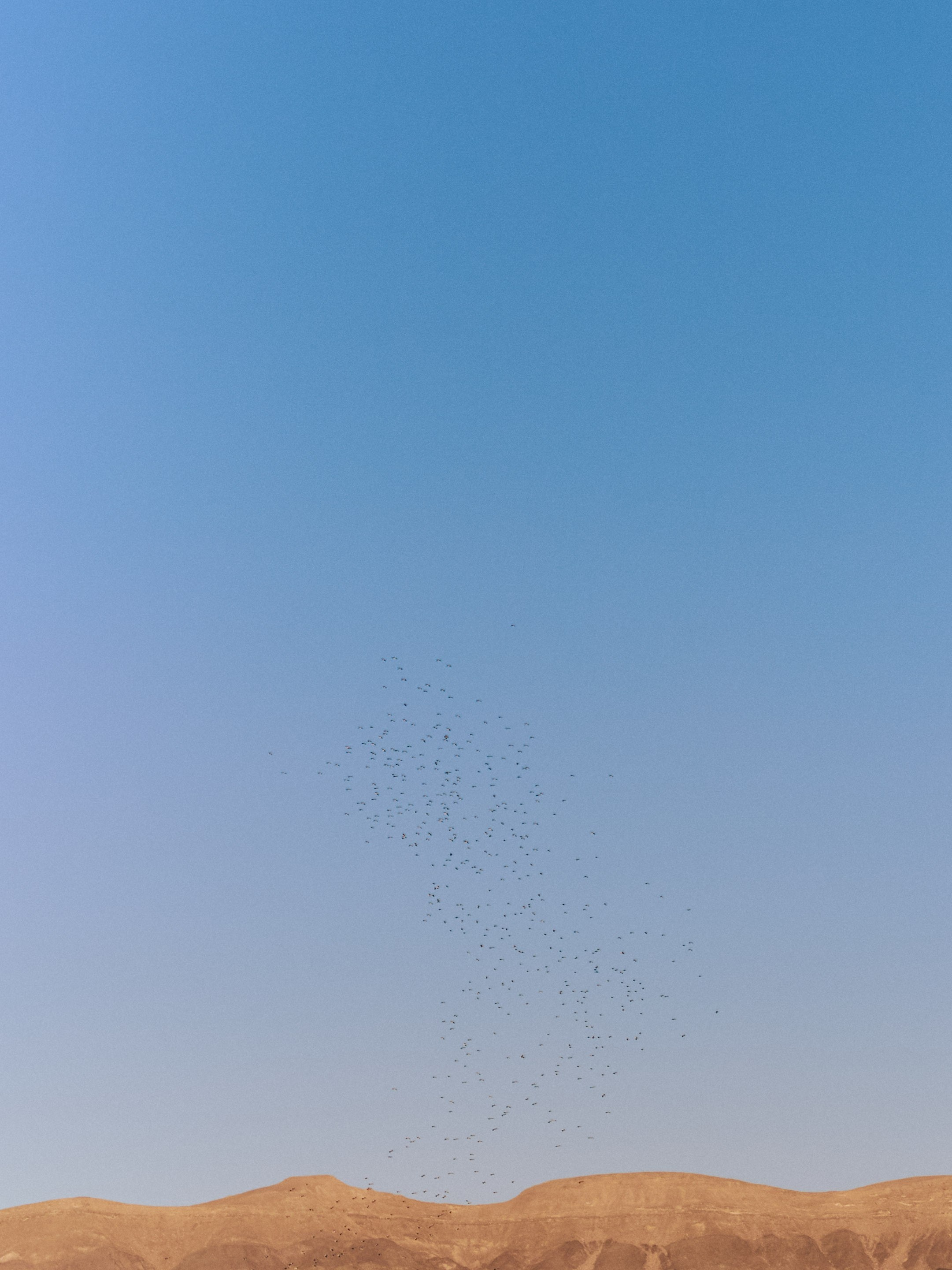 ¼. Jorgis Talè — photographer, kind person, teacher of arts and other mag