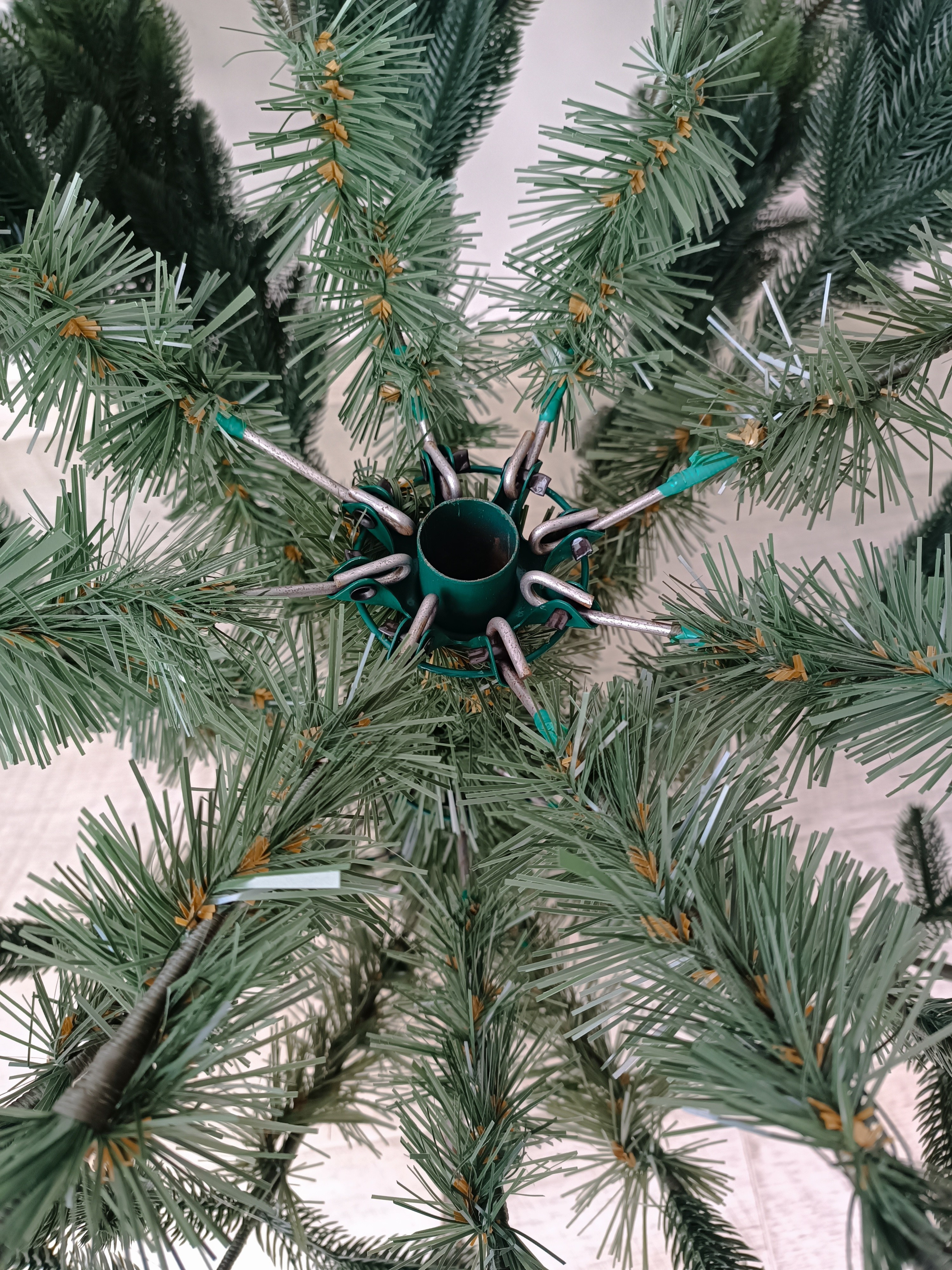 МИРАНДА. Elki_grodno