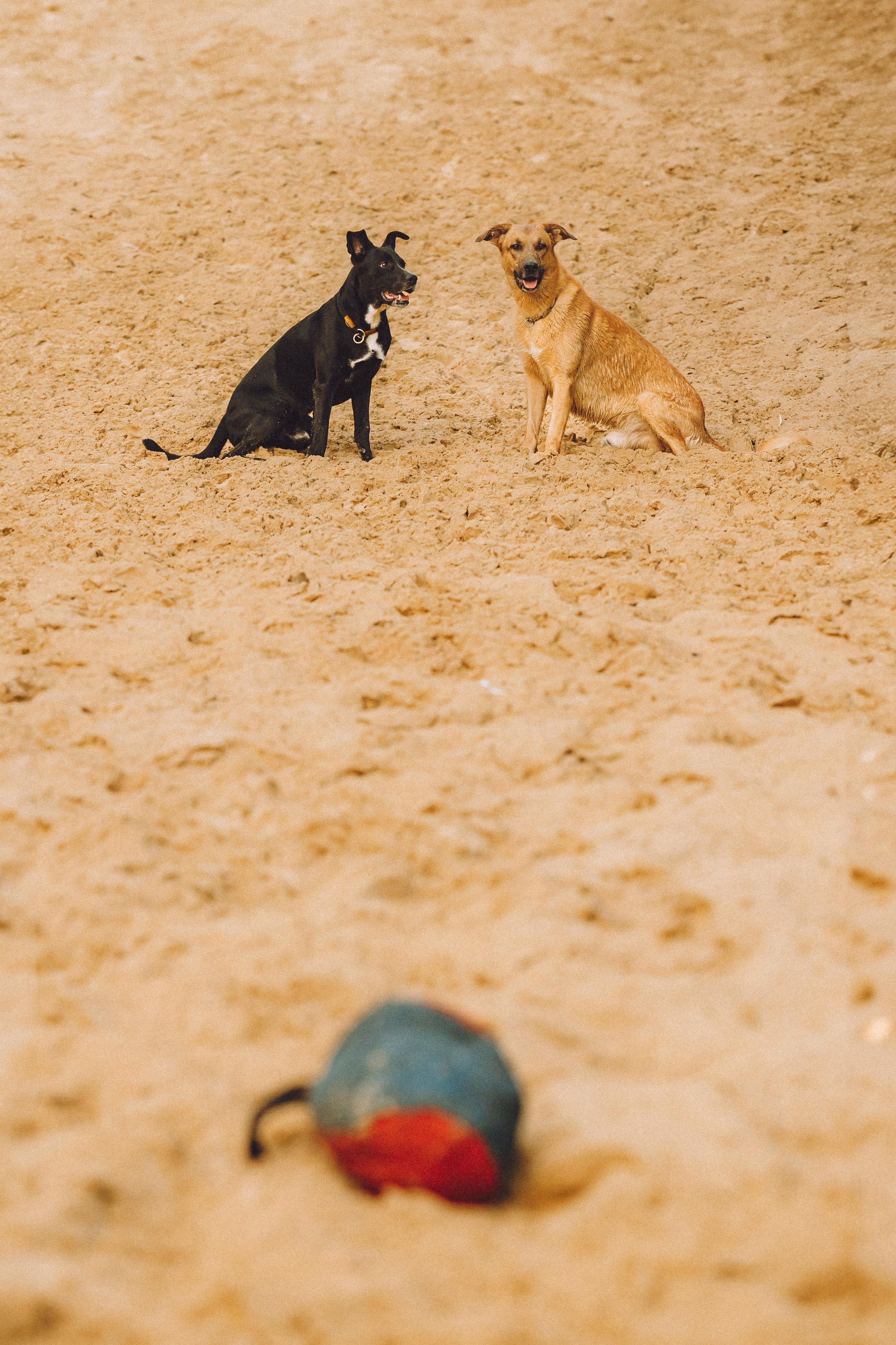 Роби, Тео и их семья