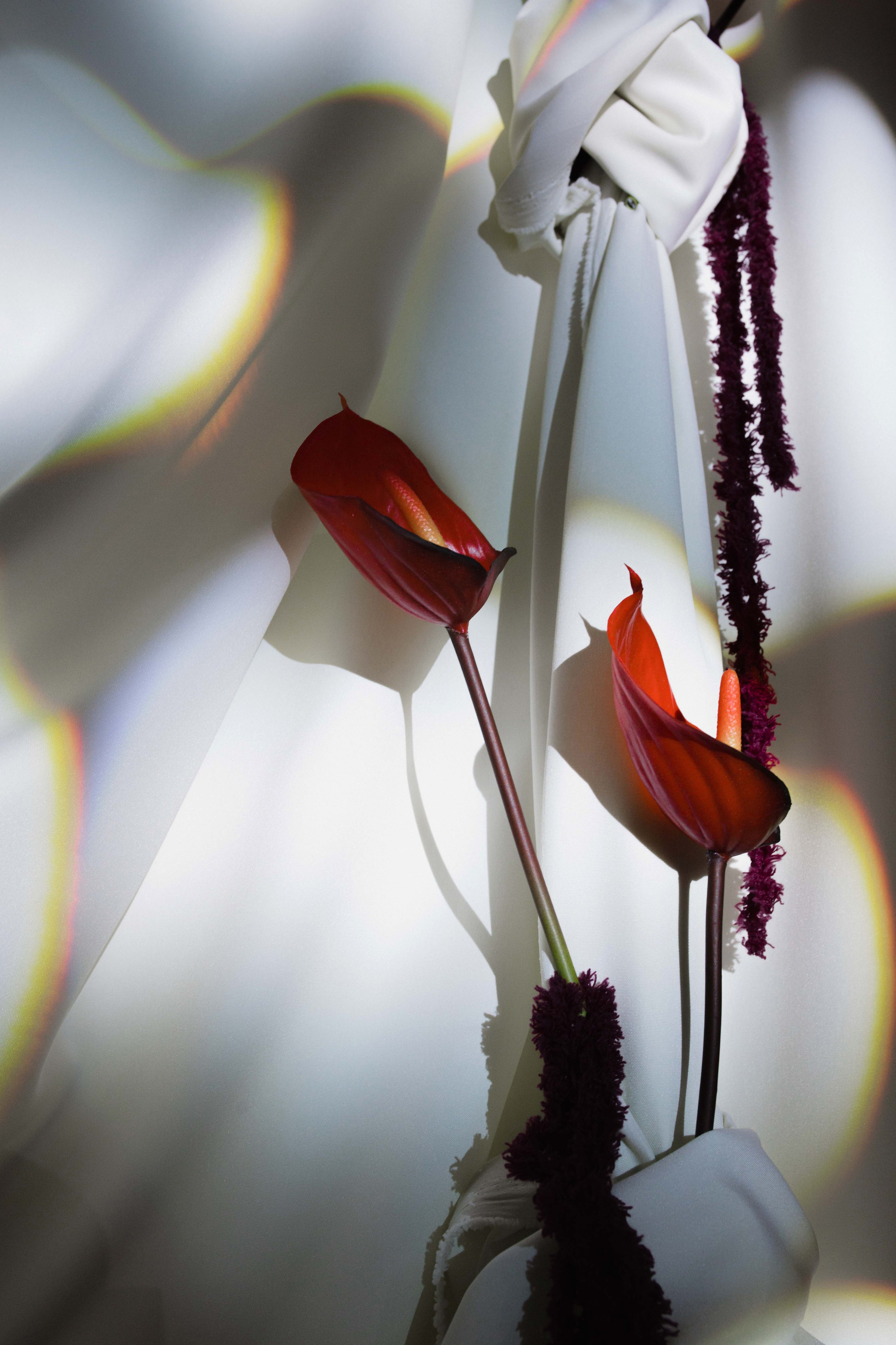 Екатерина & Роман. Фотограф Валентин Бодня