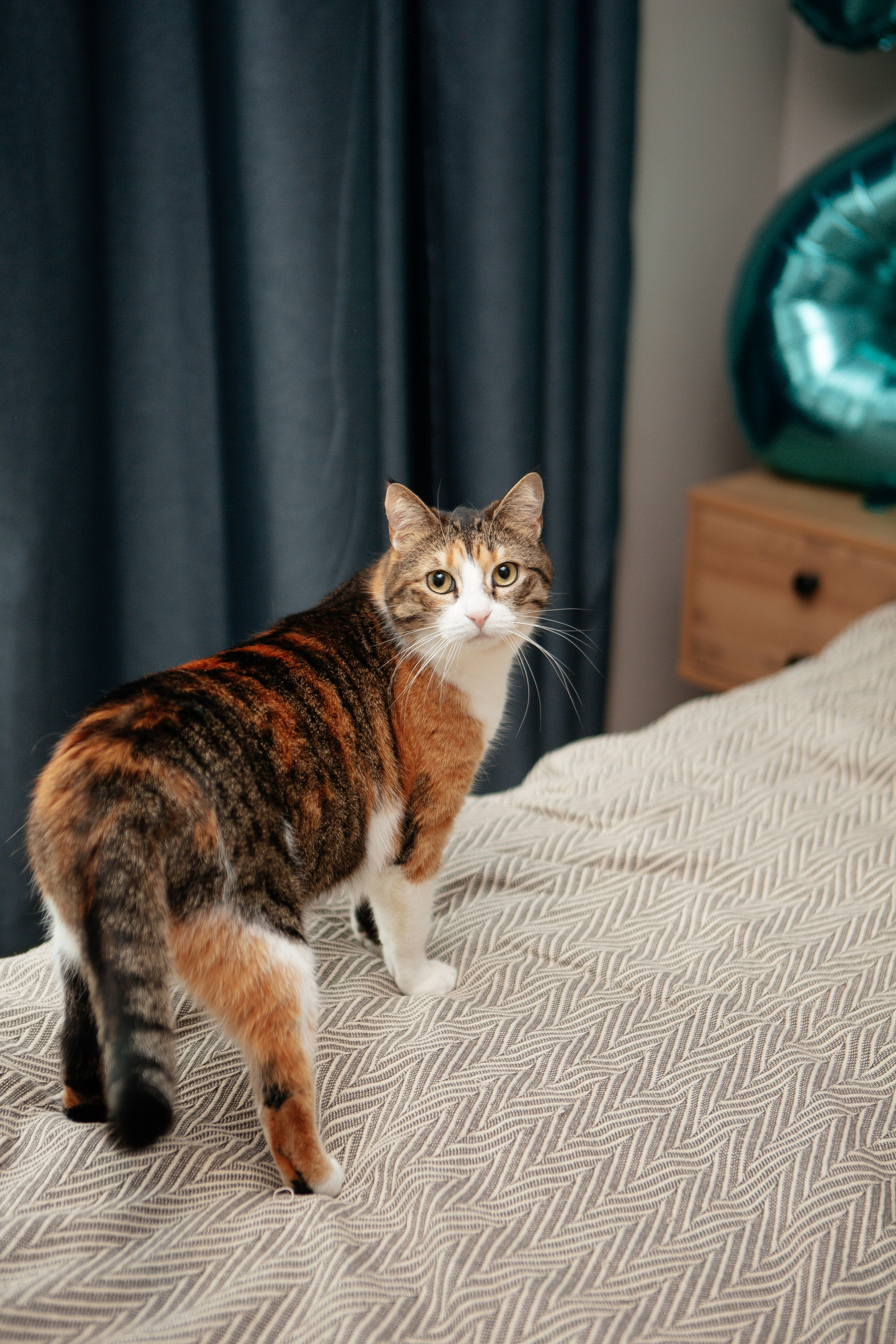 Роман и его семья. Семейный и детский фотограф в Москве Александра Мак