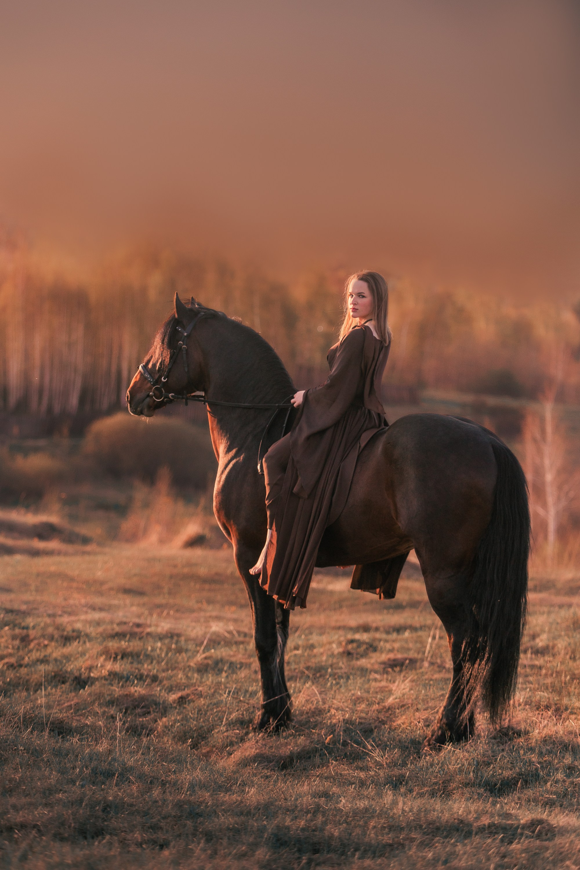 Фотосессии с лошадьми. Главная