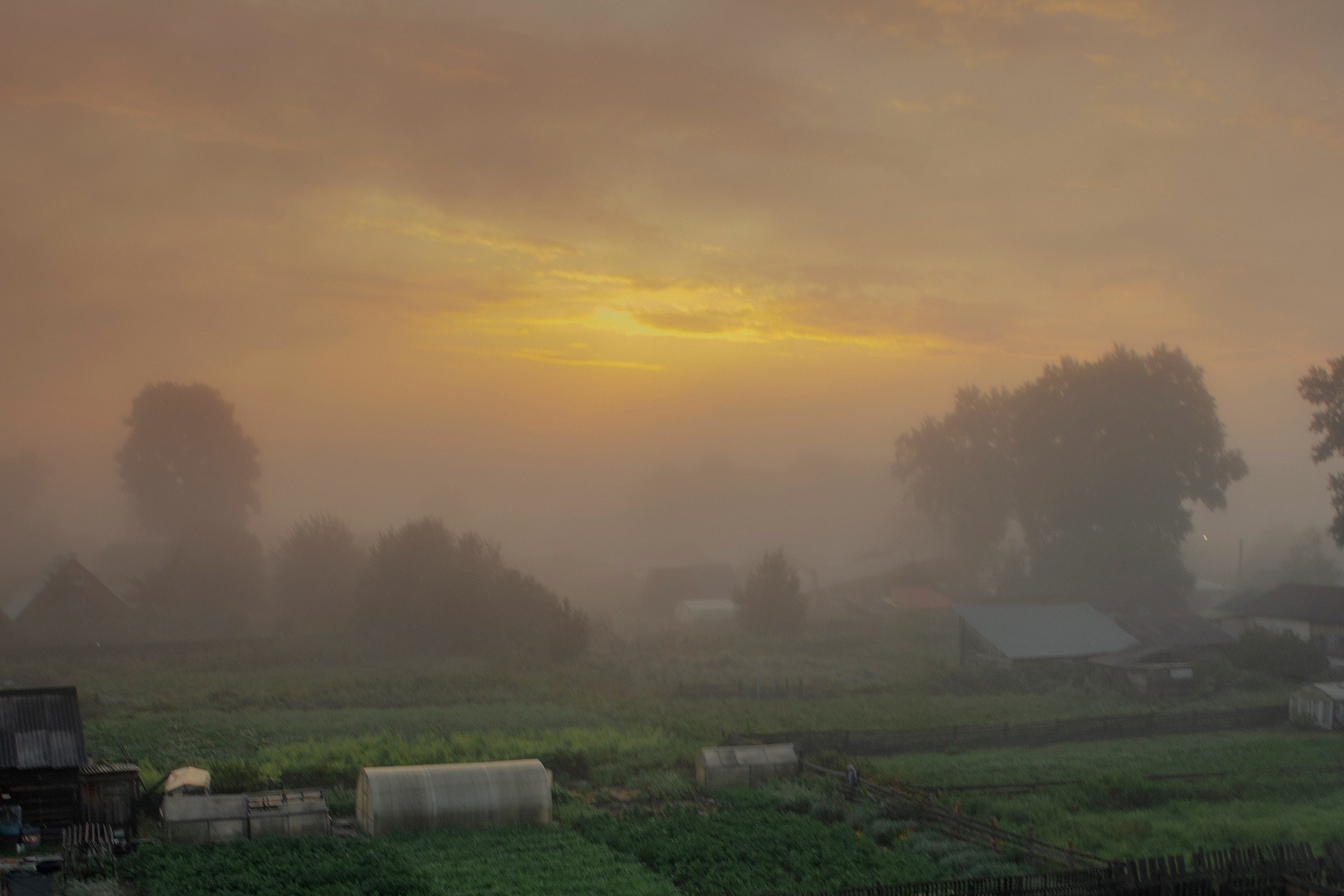 Мои работы. Выпускные альбомы в Томске. Леднева Олеся