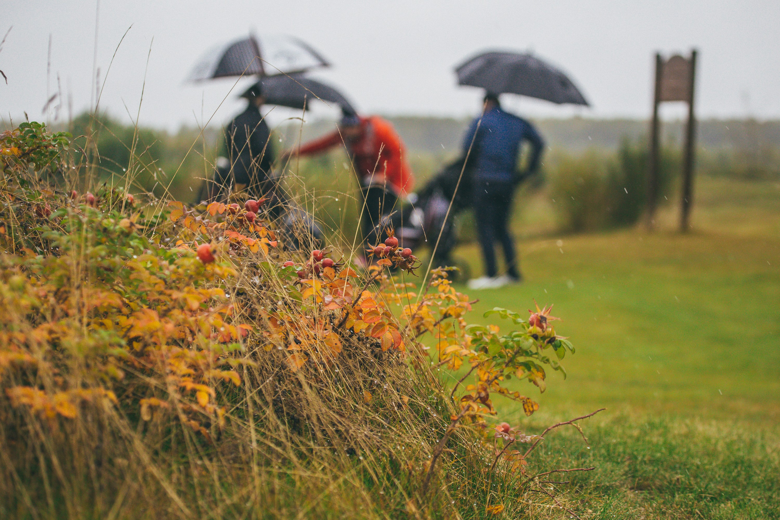 GOLF. Photo/Video Production