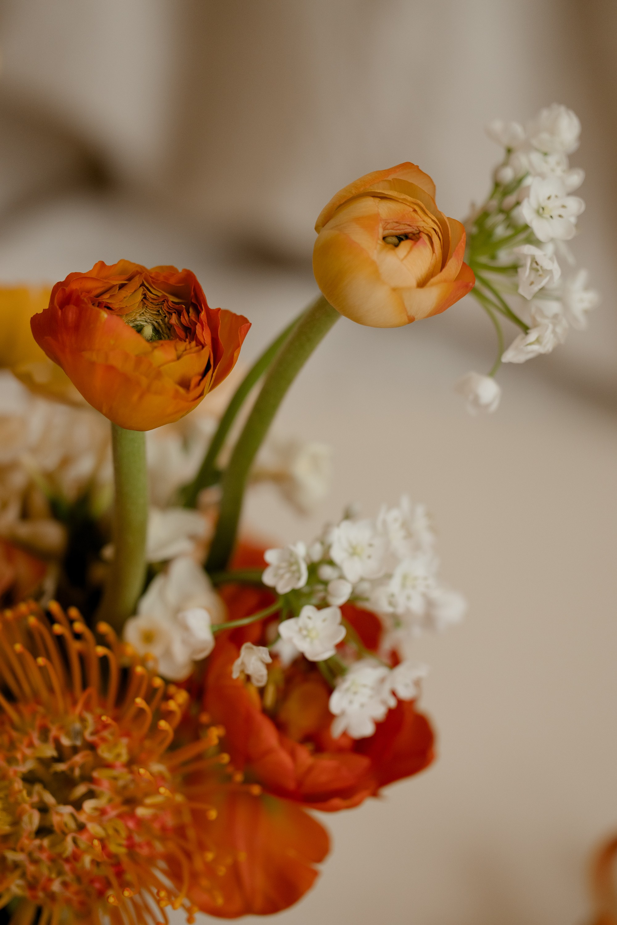 8 лет спустя. Миленина Юлия Свадебный и семейный фотограф в Краснодаре