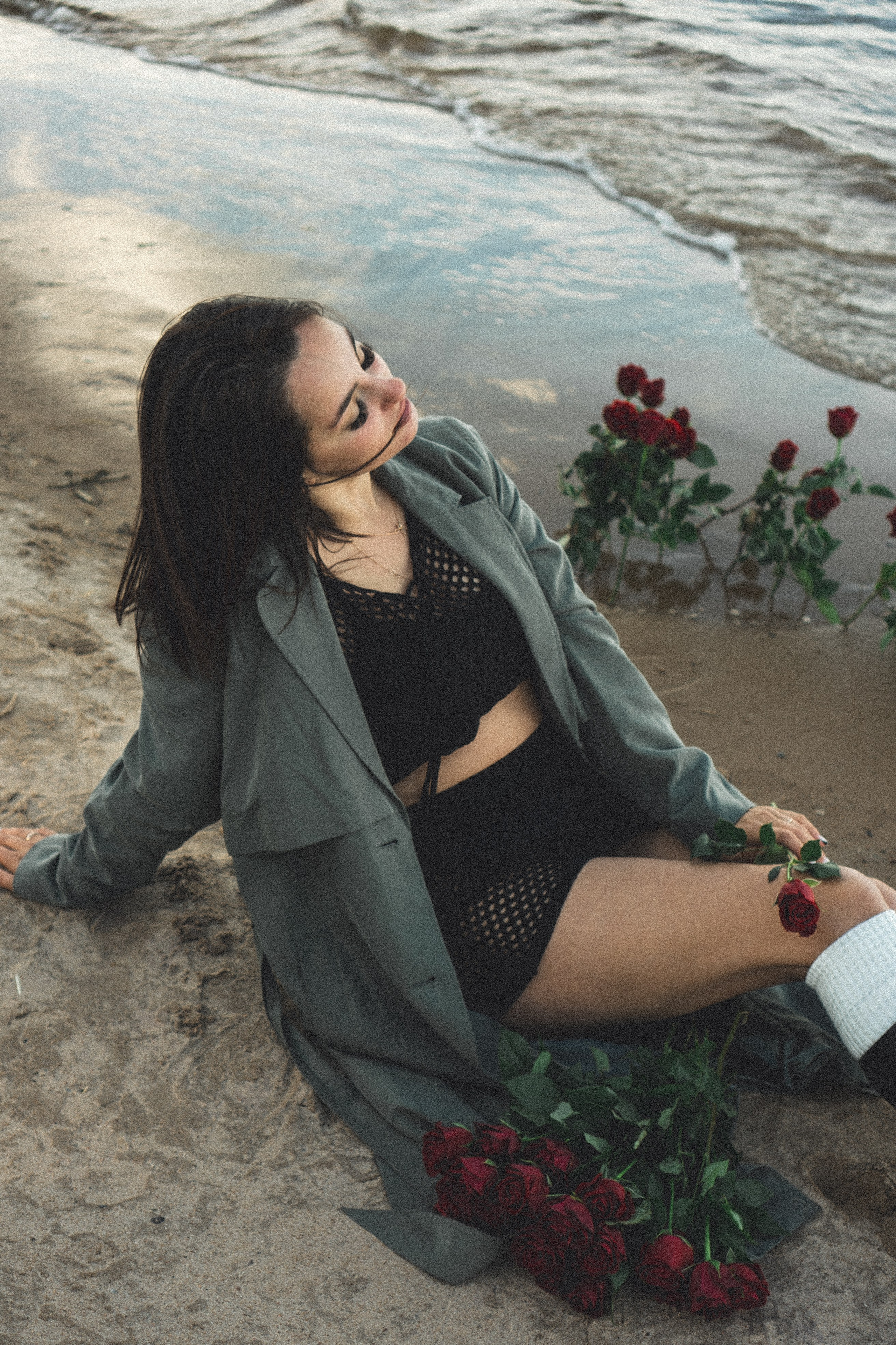 Розы. Профессиональный фотограф, Санкт-Петербург — Виктория Богомолова