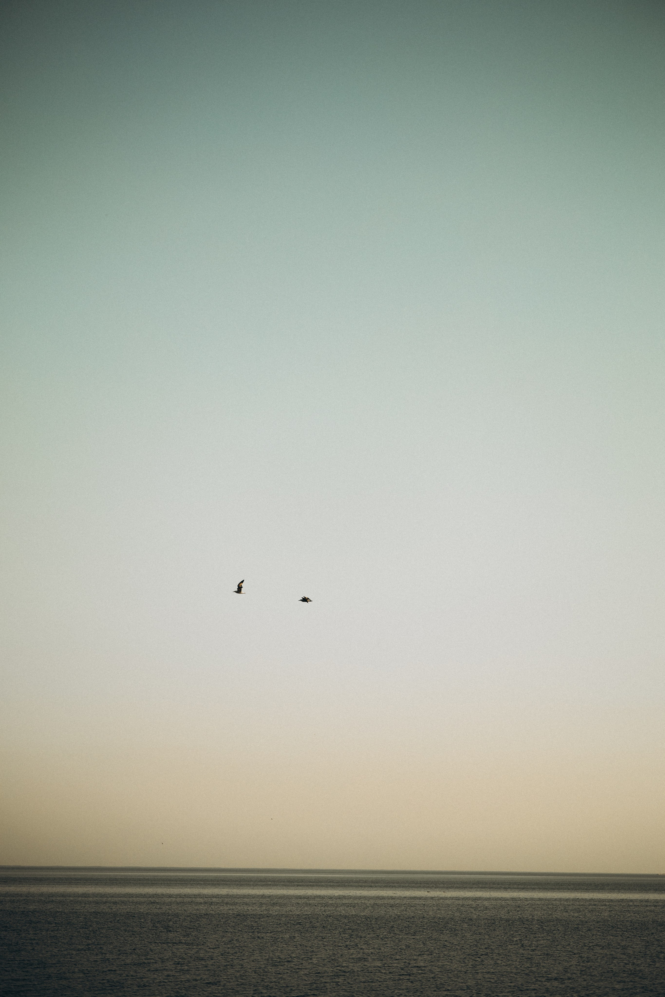 Мама и дочка, такая нежная весна. Семейный и детский фотограф, таганрог, ростов-на-дону