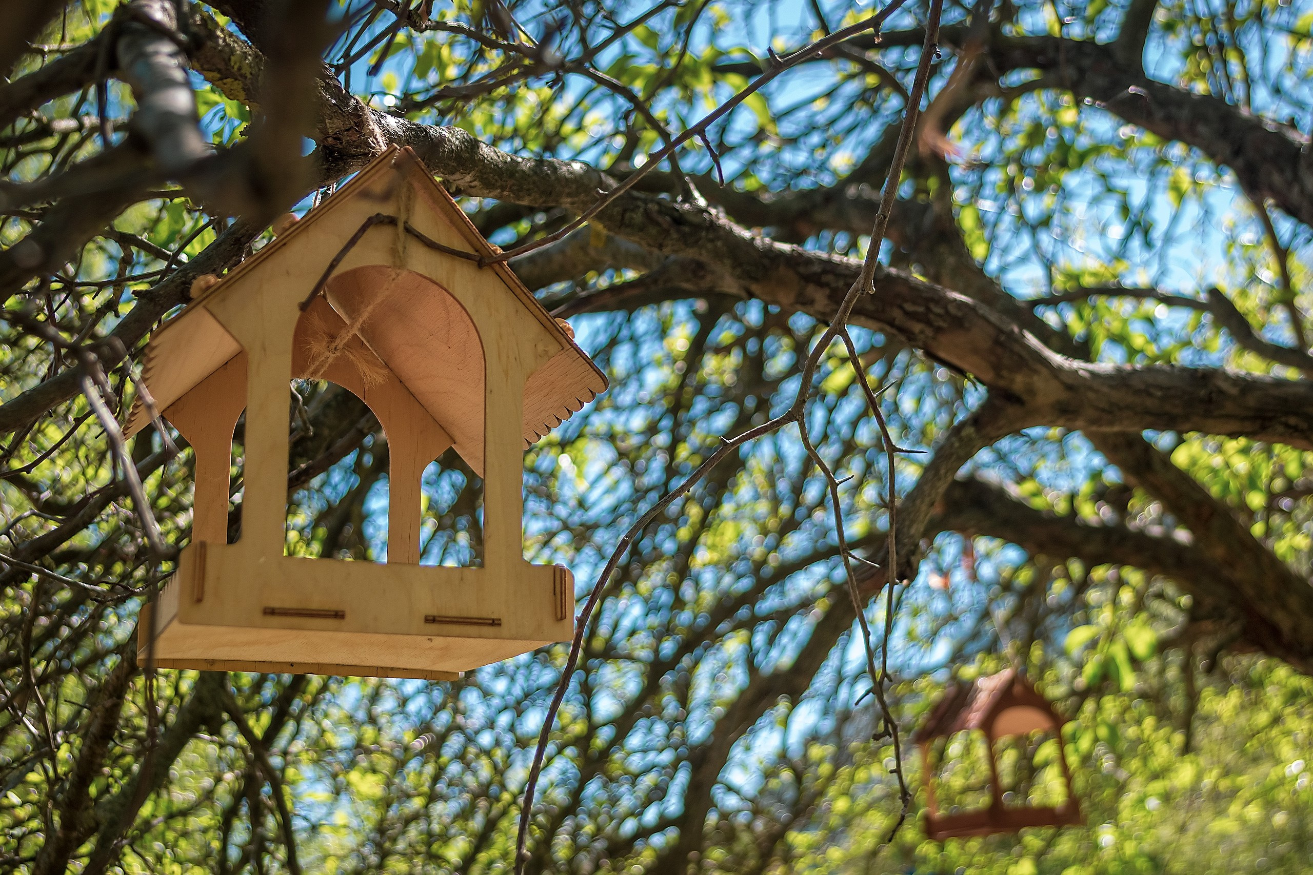 Наш Дом — Земля. Аmat Victoria Сuram